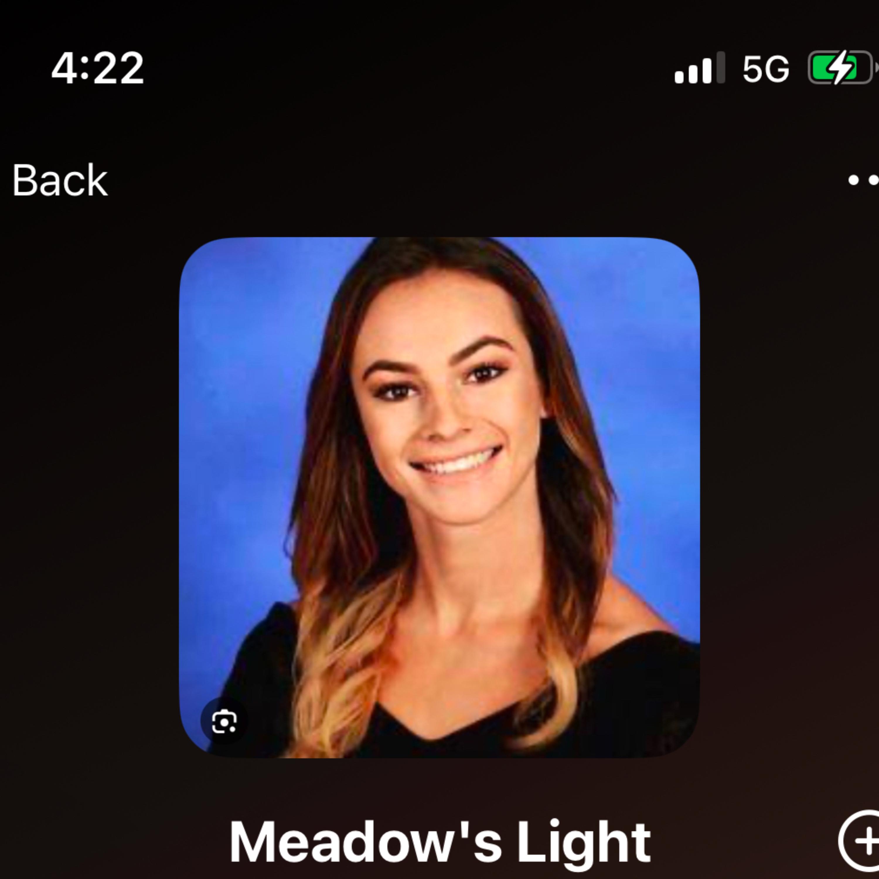 Meadow’s Light artwork
