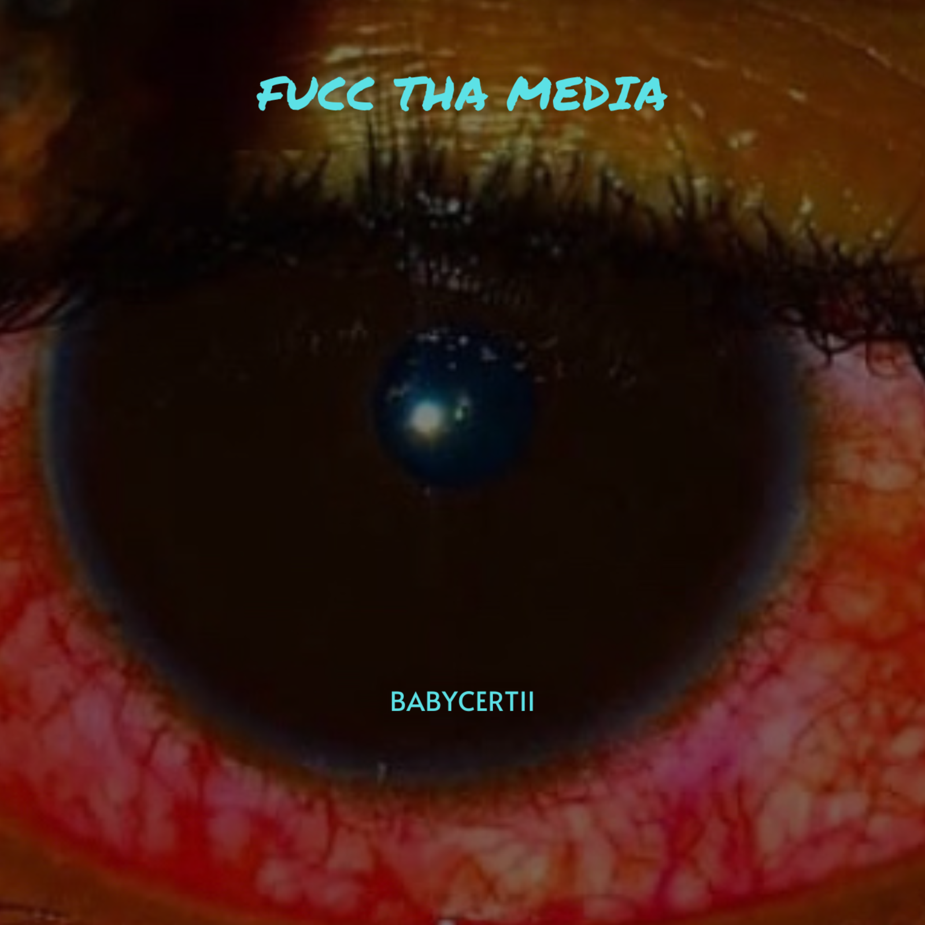 Fucc Tha Media (Remake) artwork