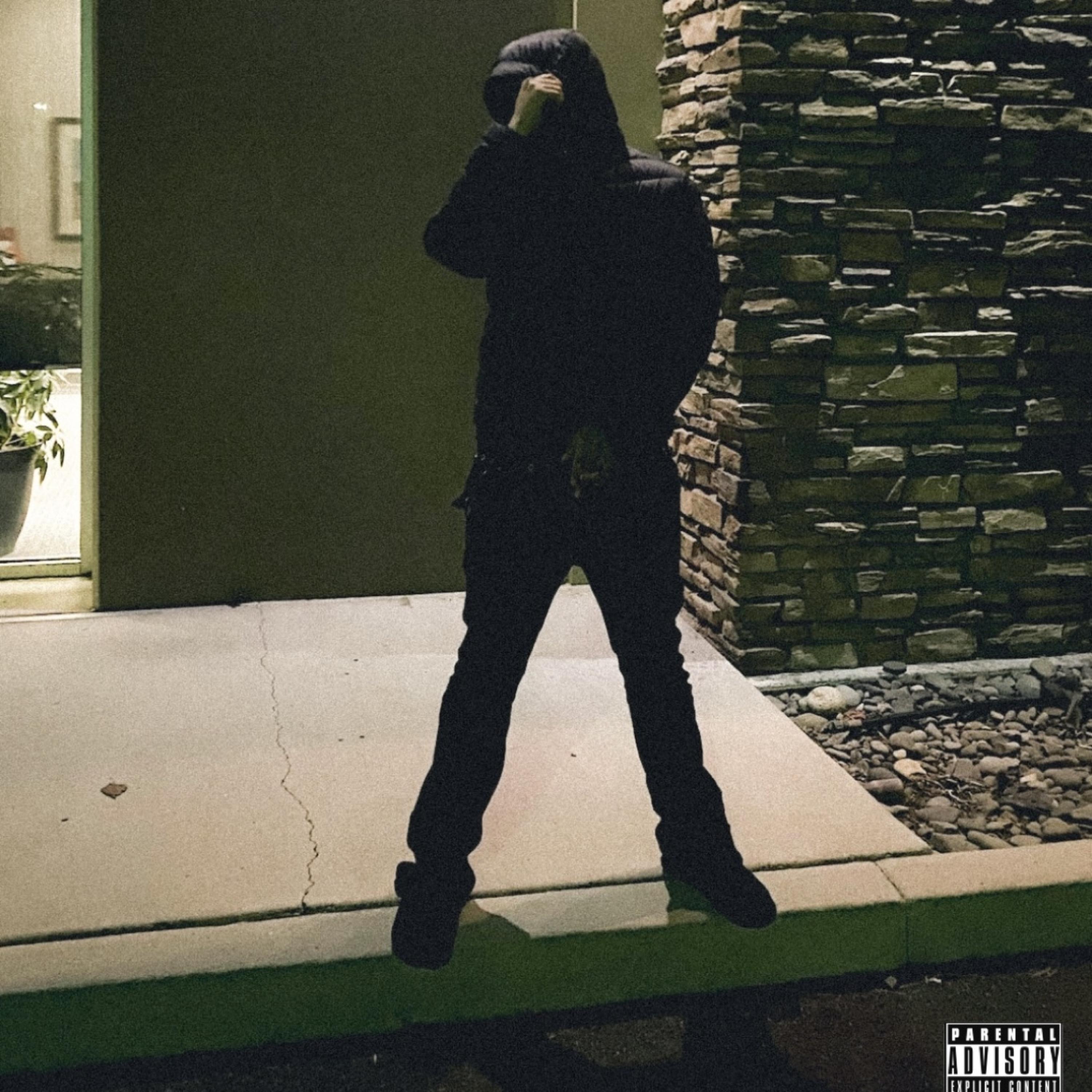 wacko freestyle artwork