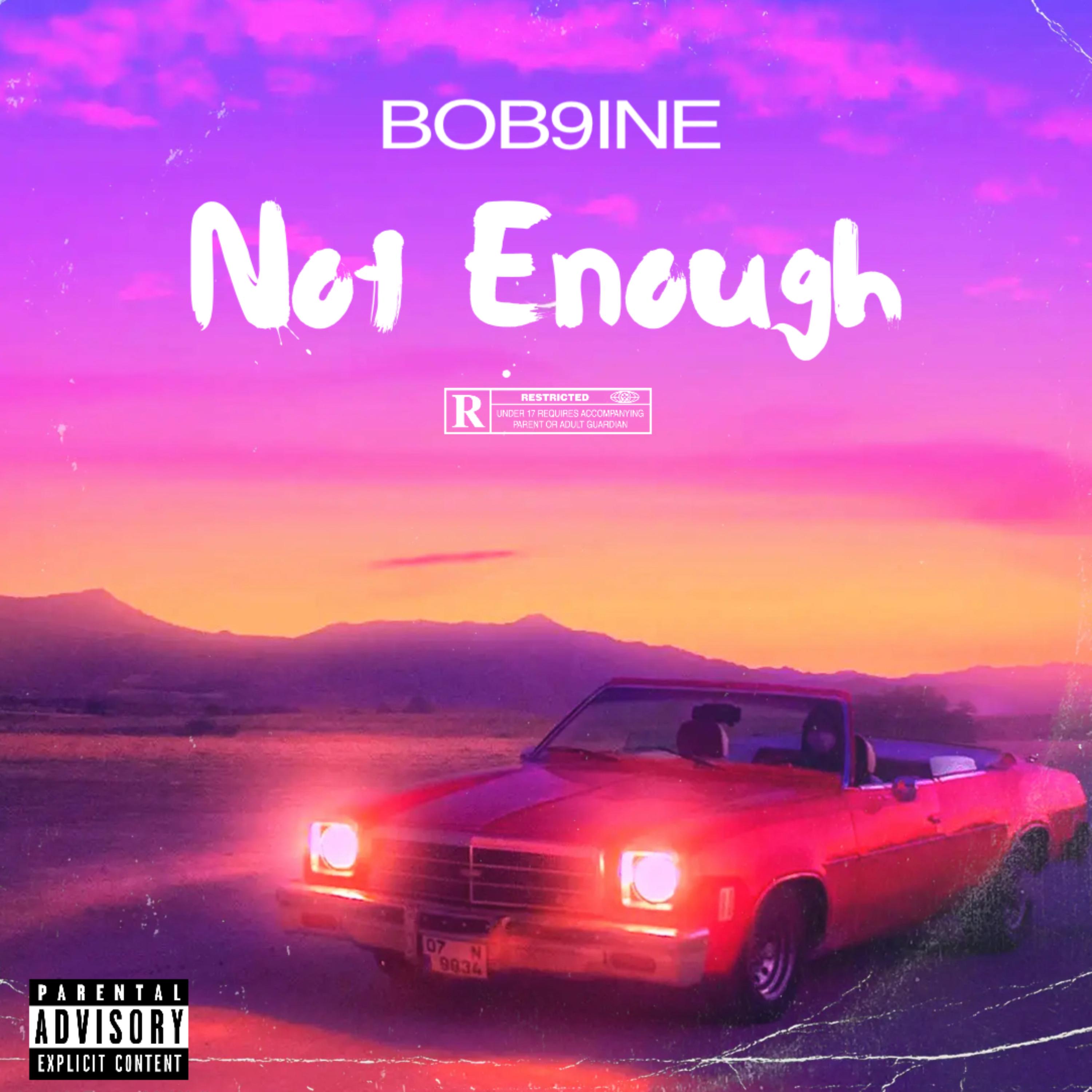 Not Enough artwork