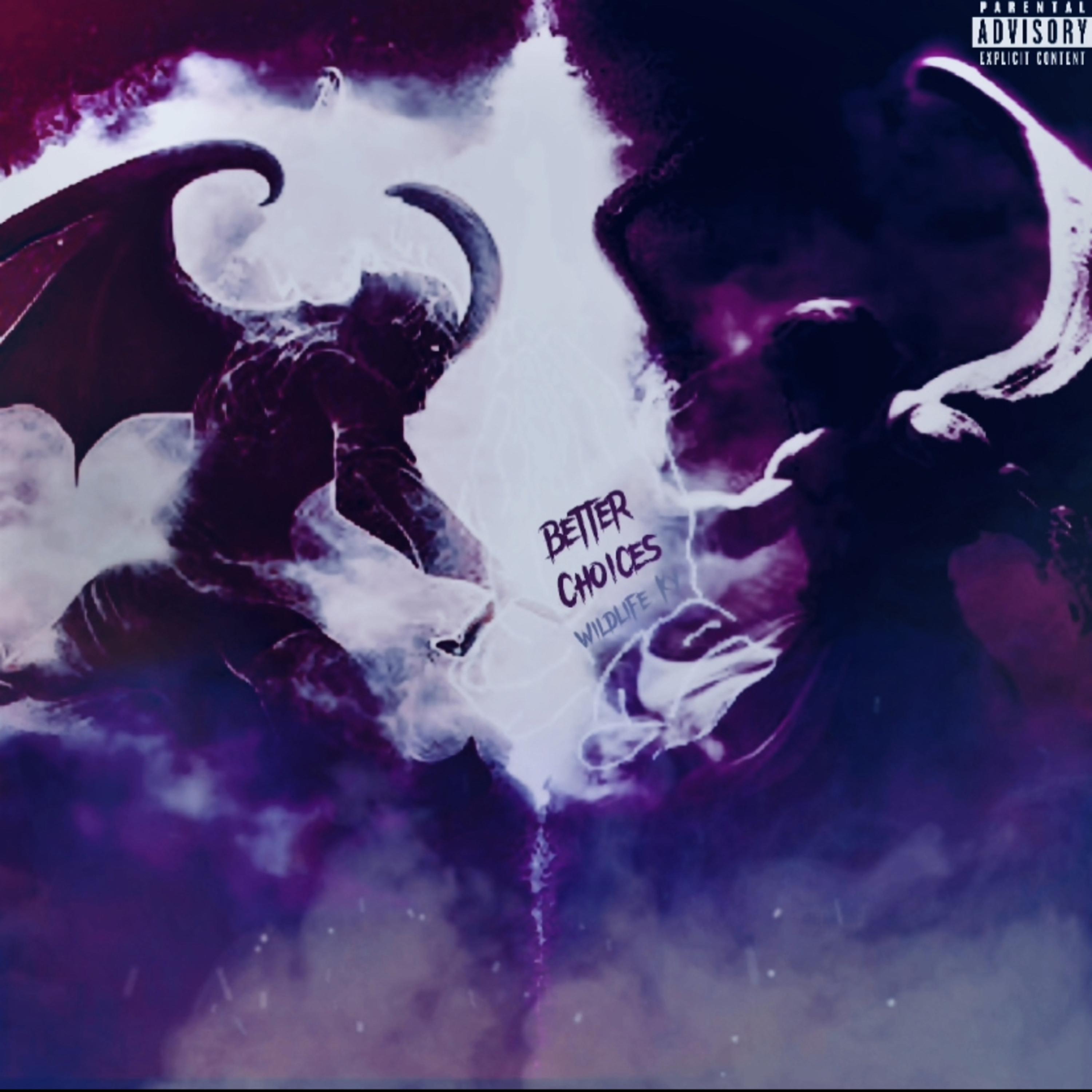 Better Choices artwork