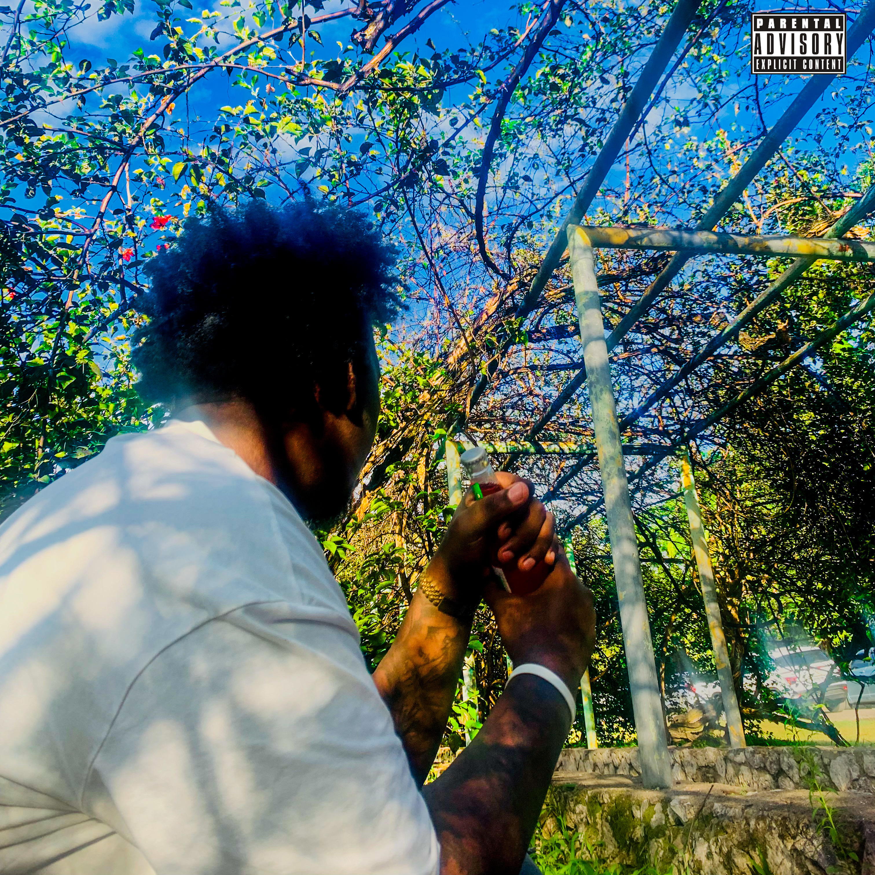 Dem Nuh Up Deh by Vlado2Valid cover art