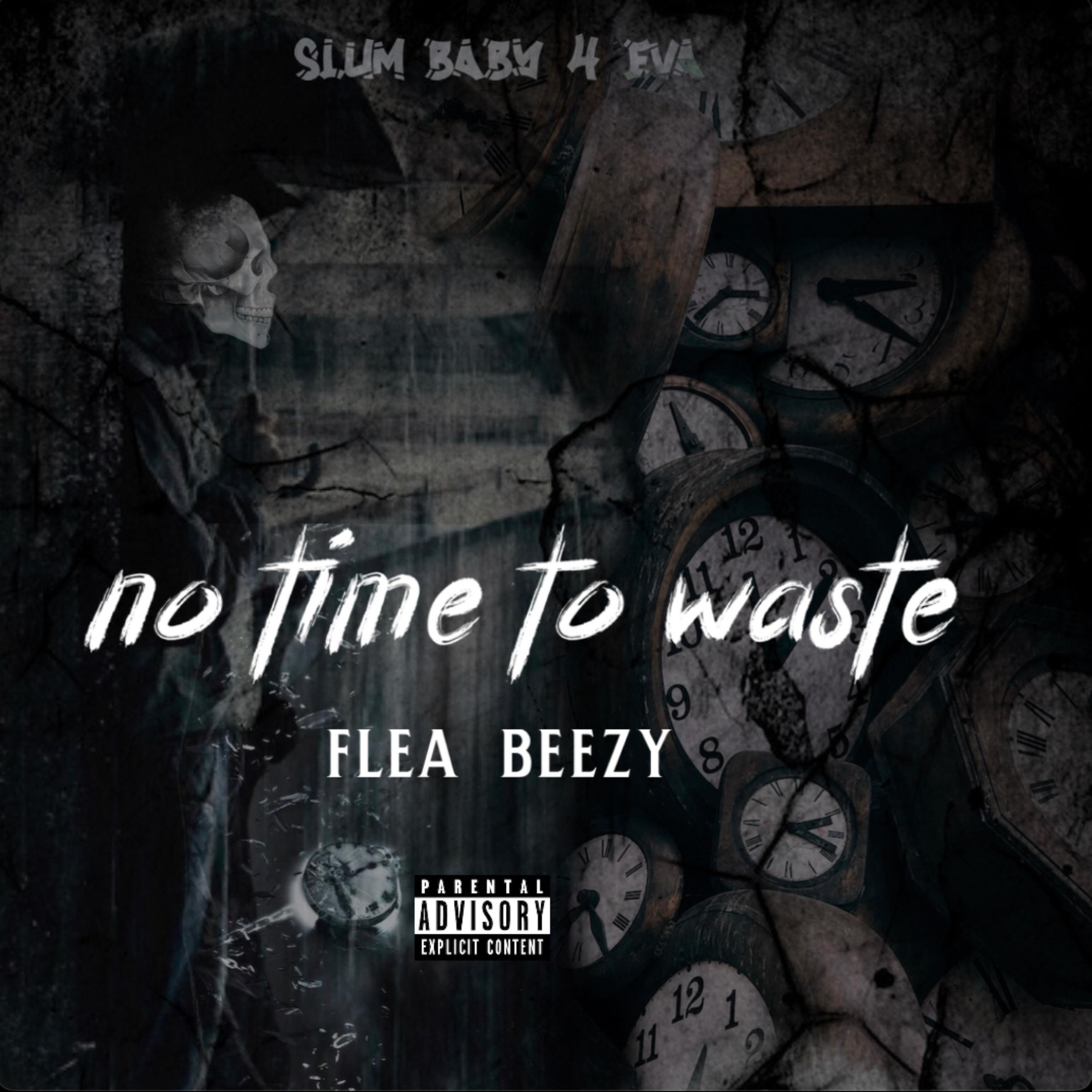 no time to waste artwork