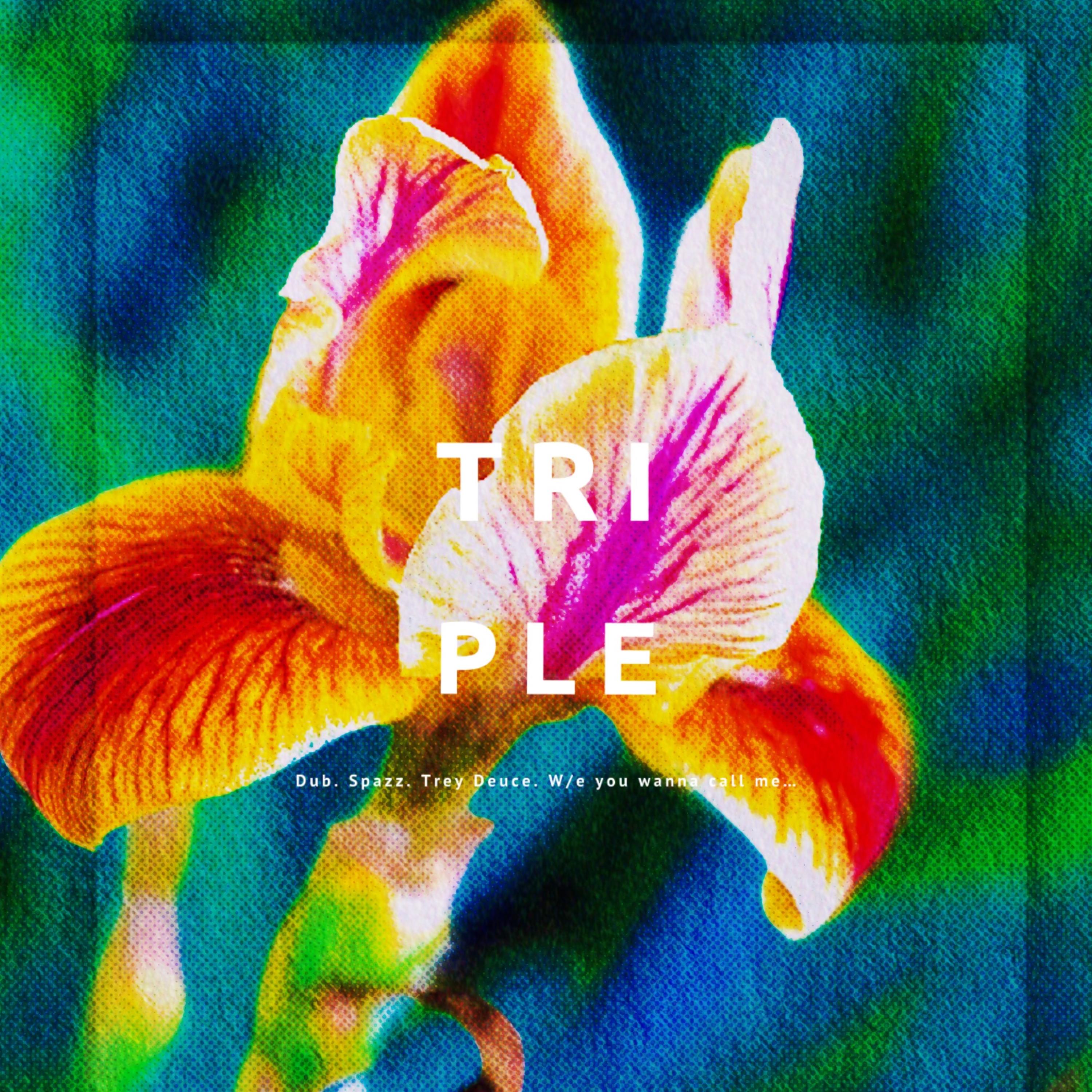 Dub The Don (Triple Don) artwork