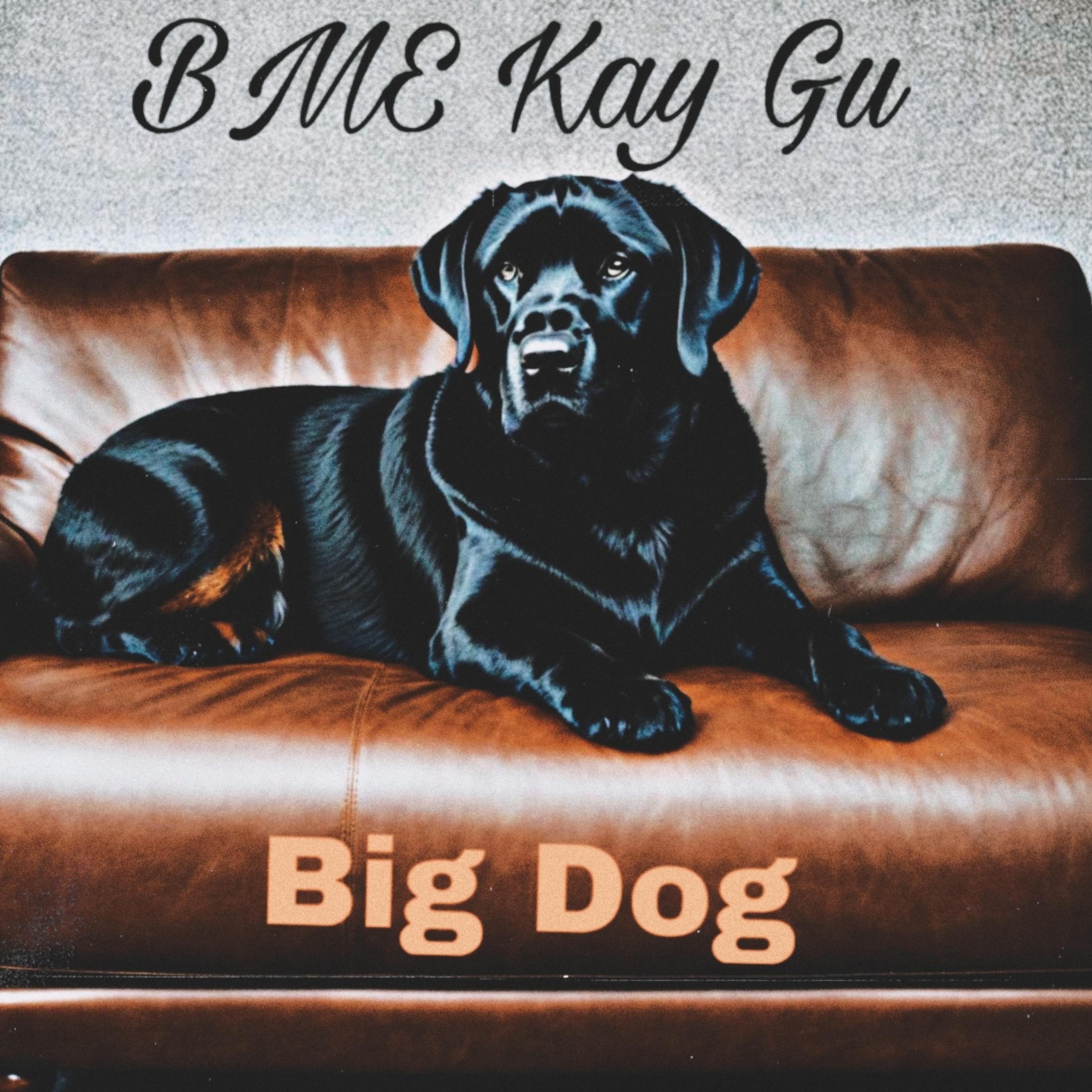 BME Kay Gu big dog artwork