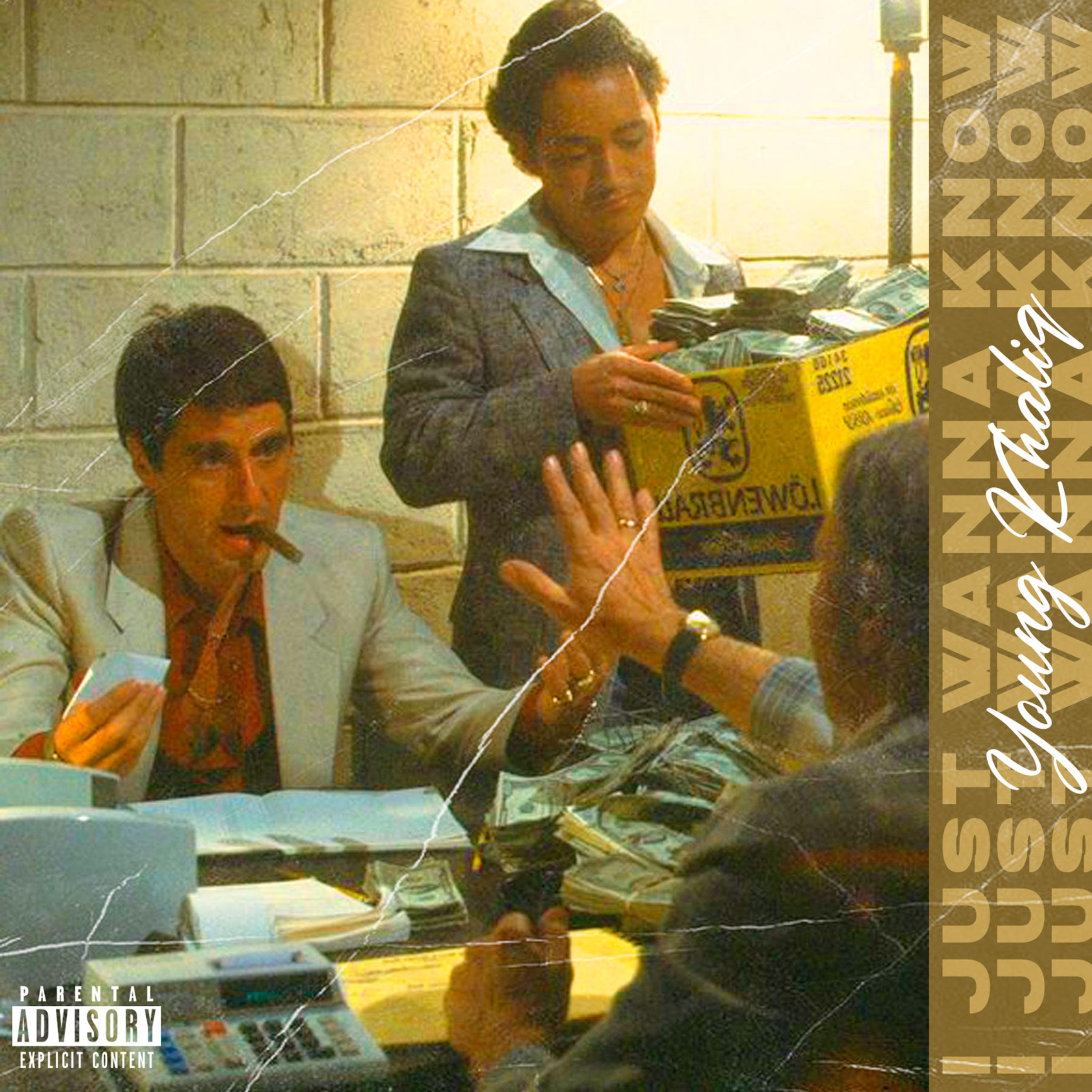 i just wanna know artwork