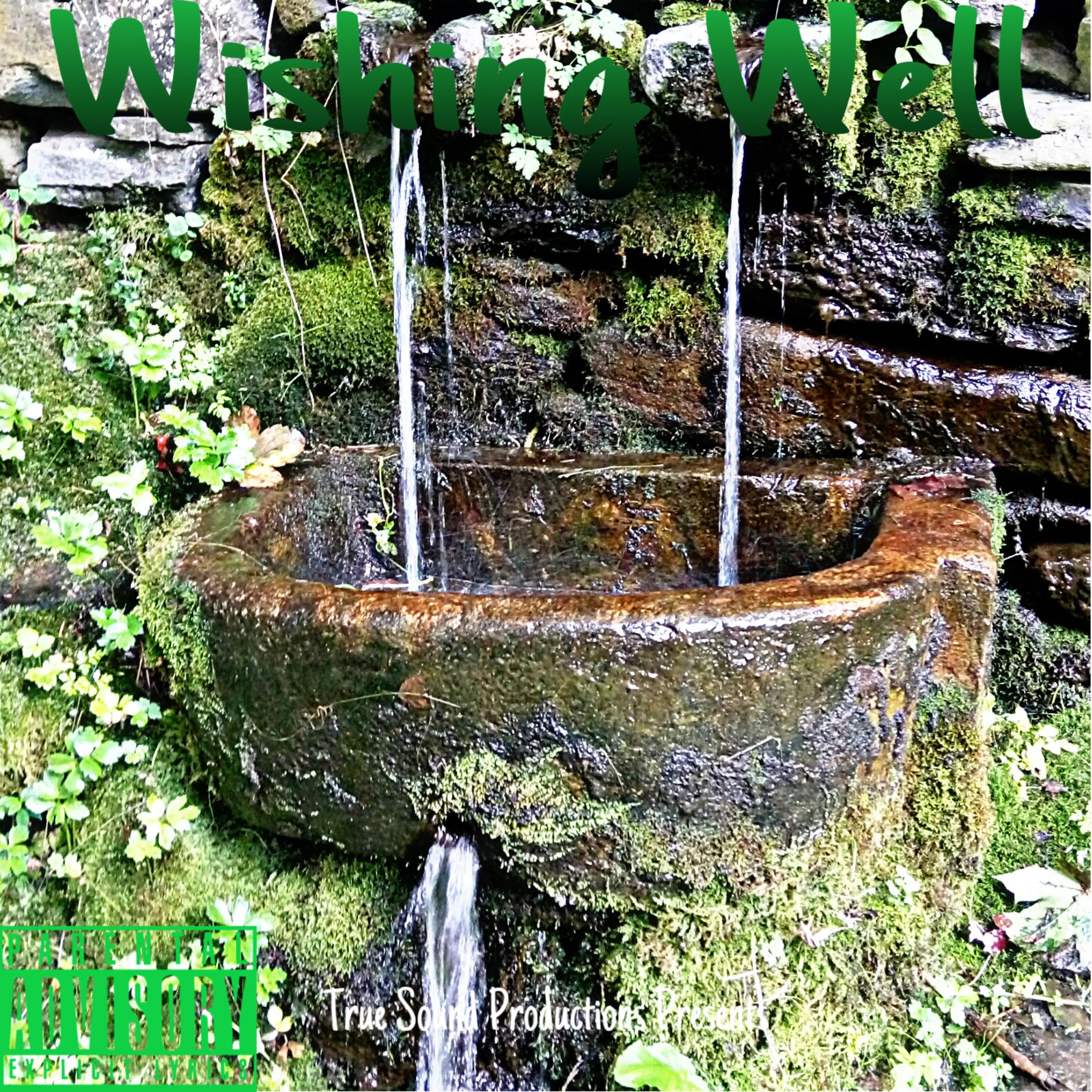 Wishing Well artwork