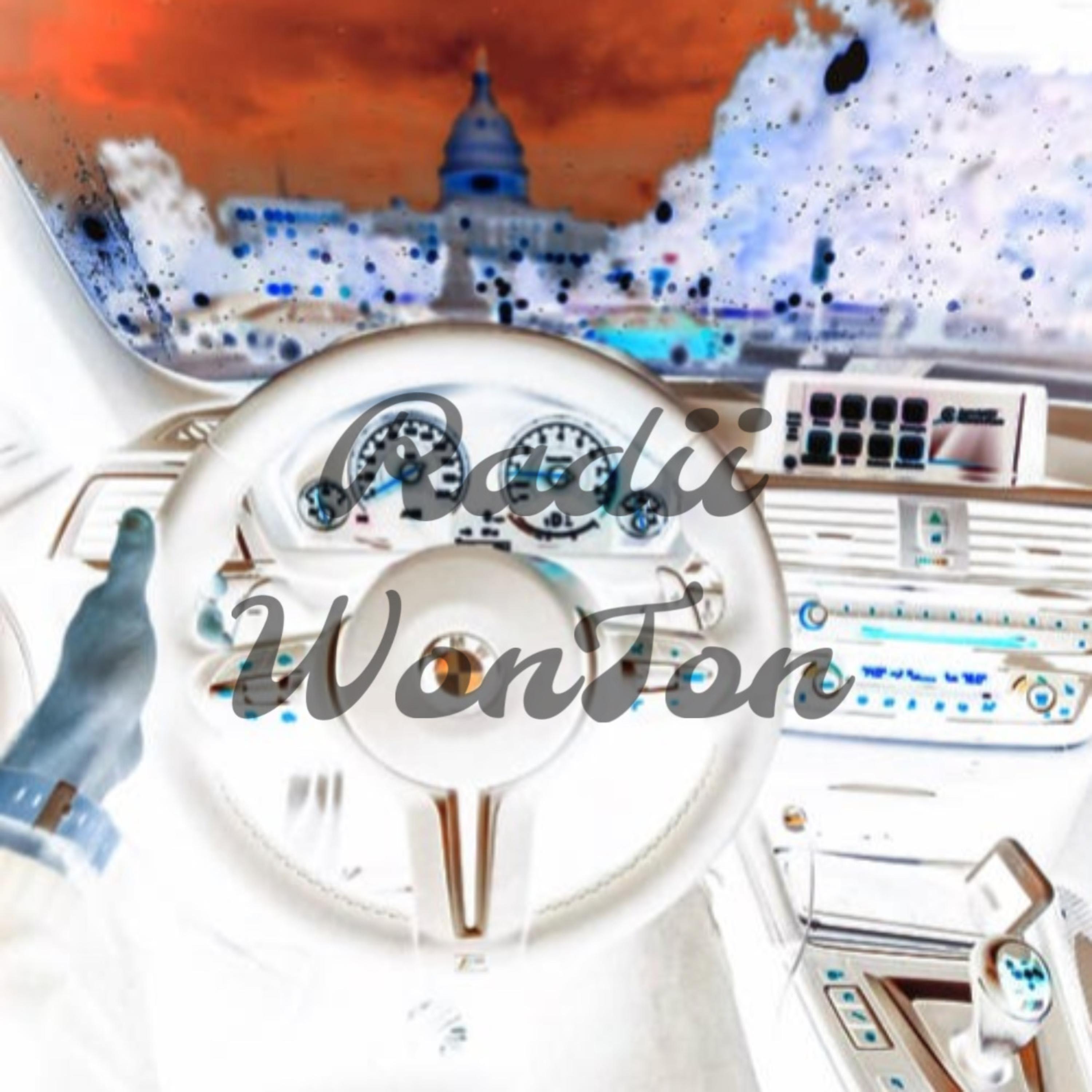 Driver Pains by Radii WonTon cover art