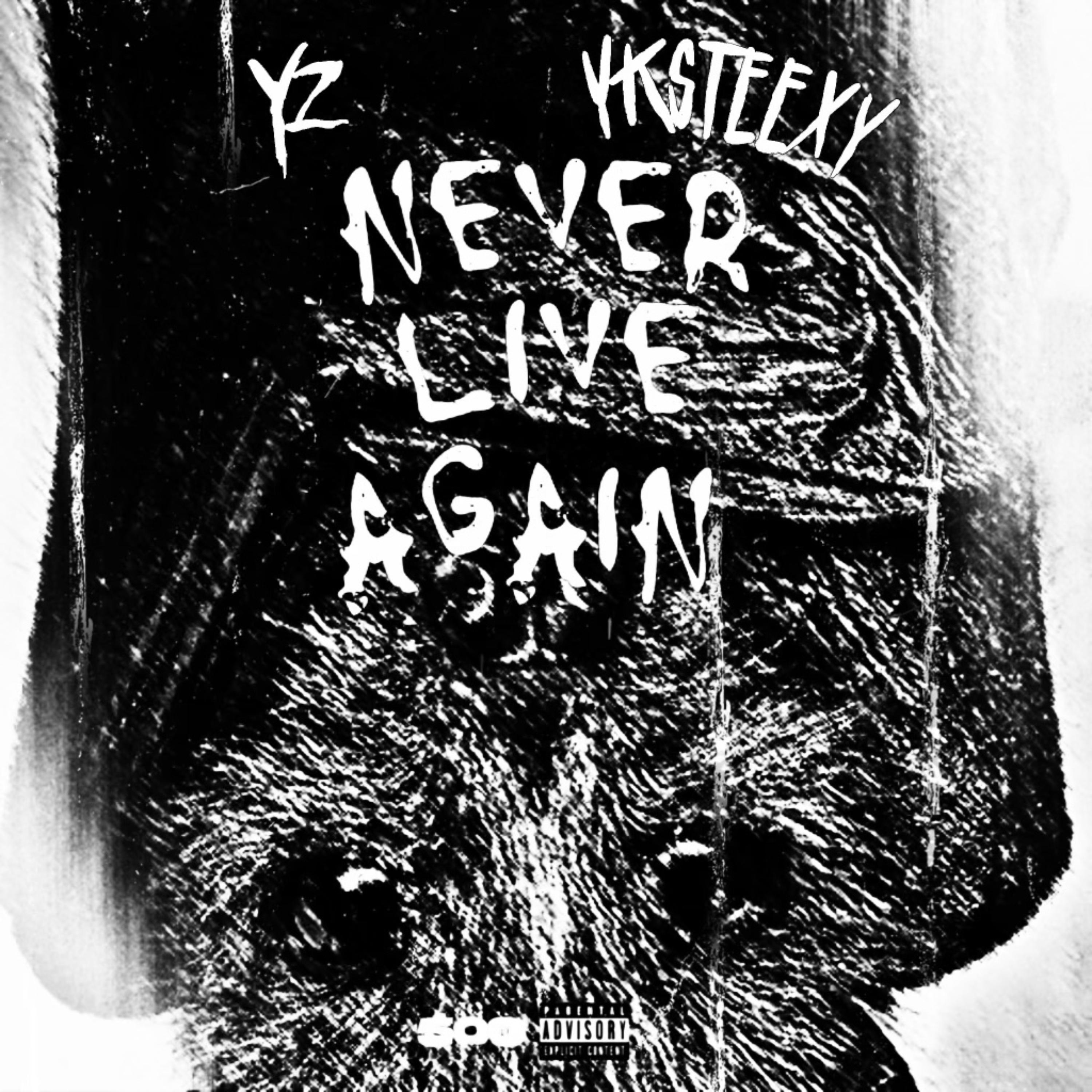 Never Live Again artwork