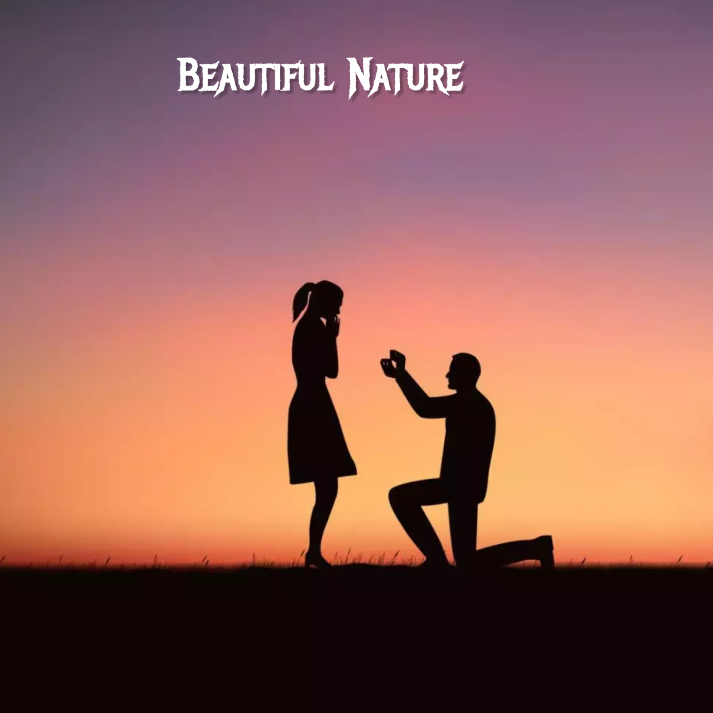 Beautiful Nature (Thank You For Sunset) artwork