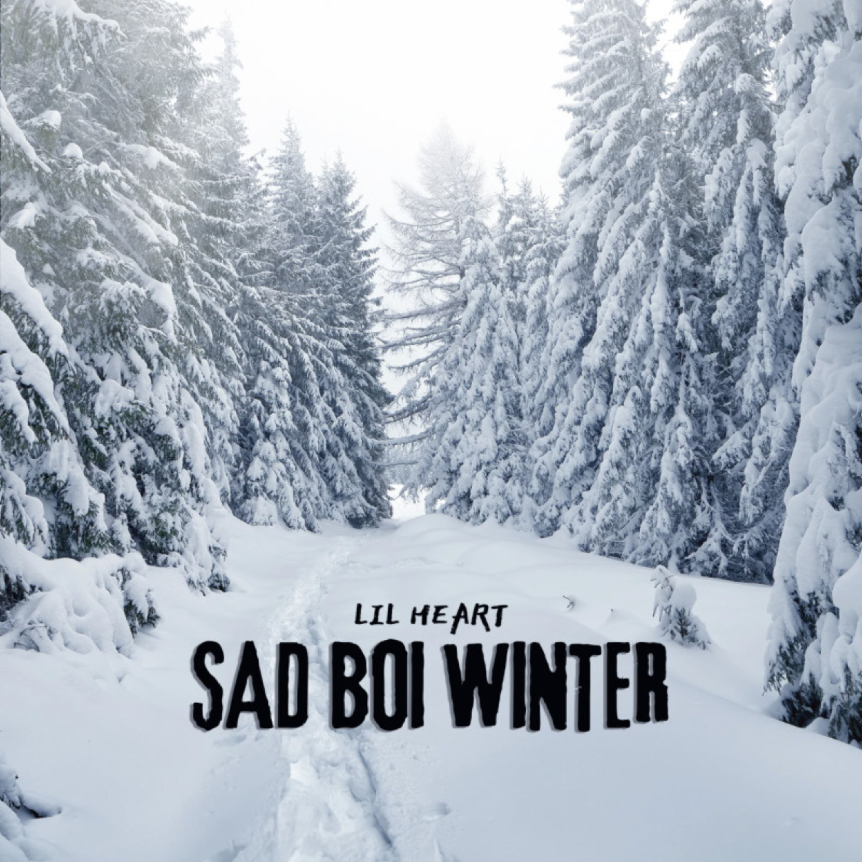 Sad Boi Winter artwork