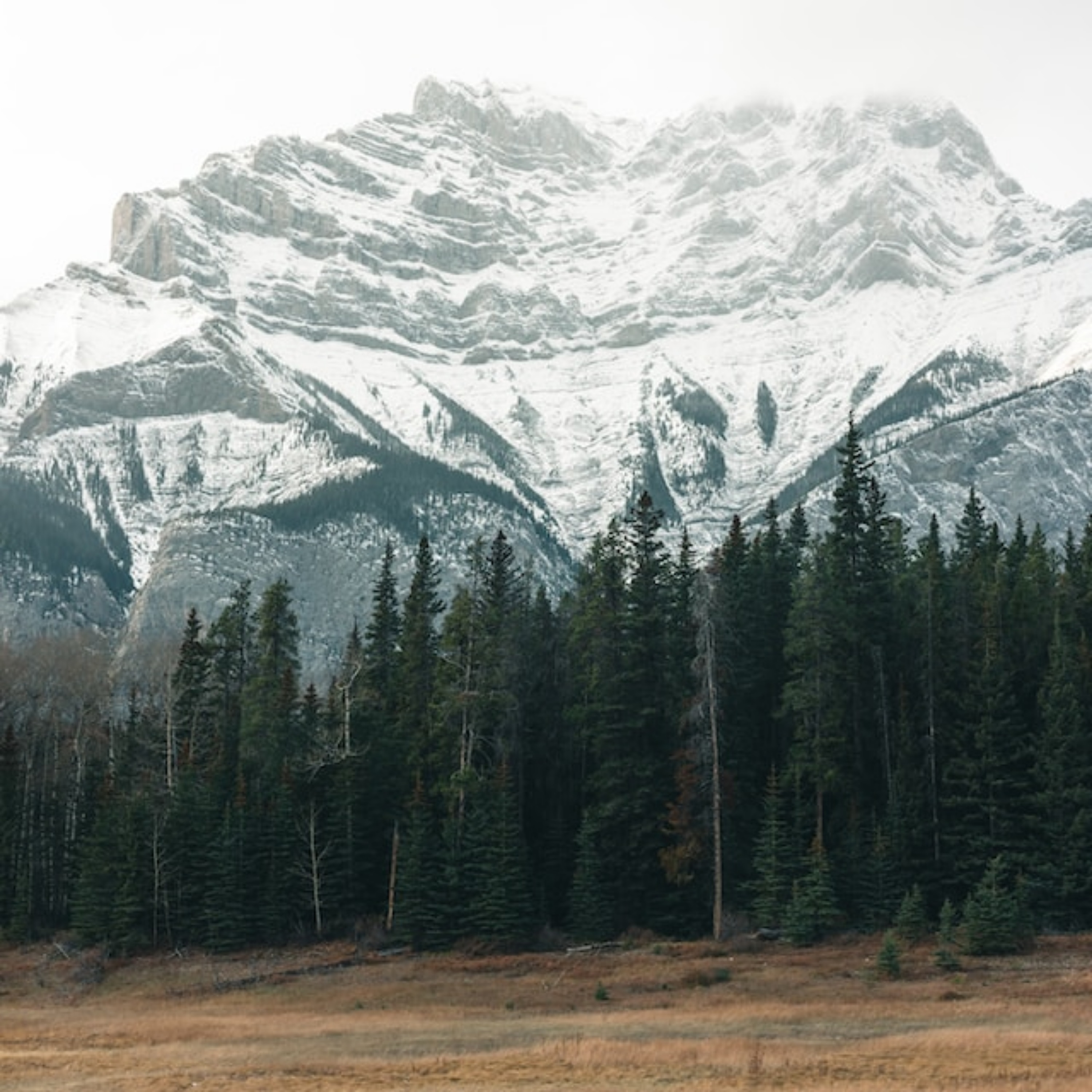 Bawa Aku Terbang artwork