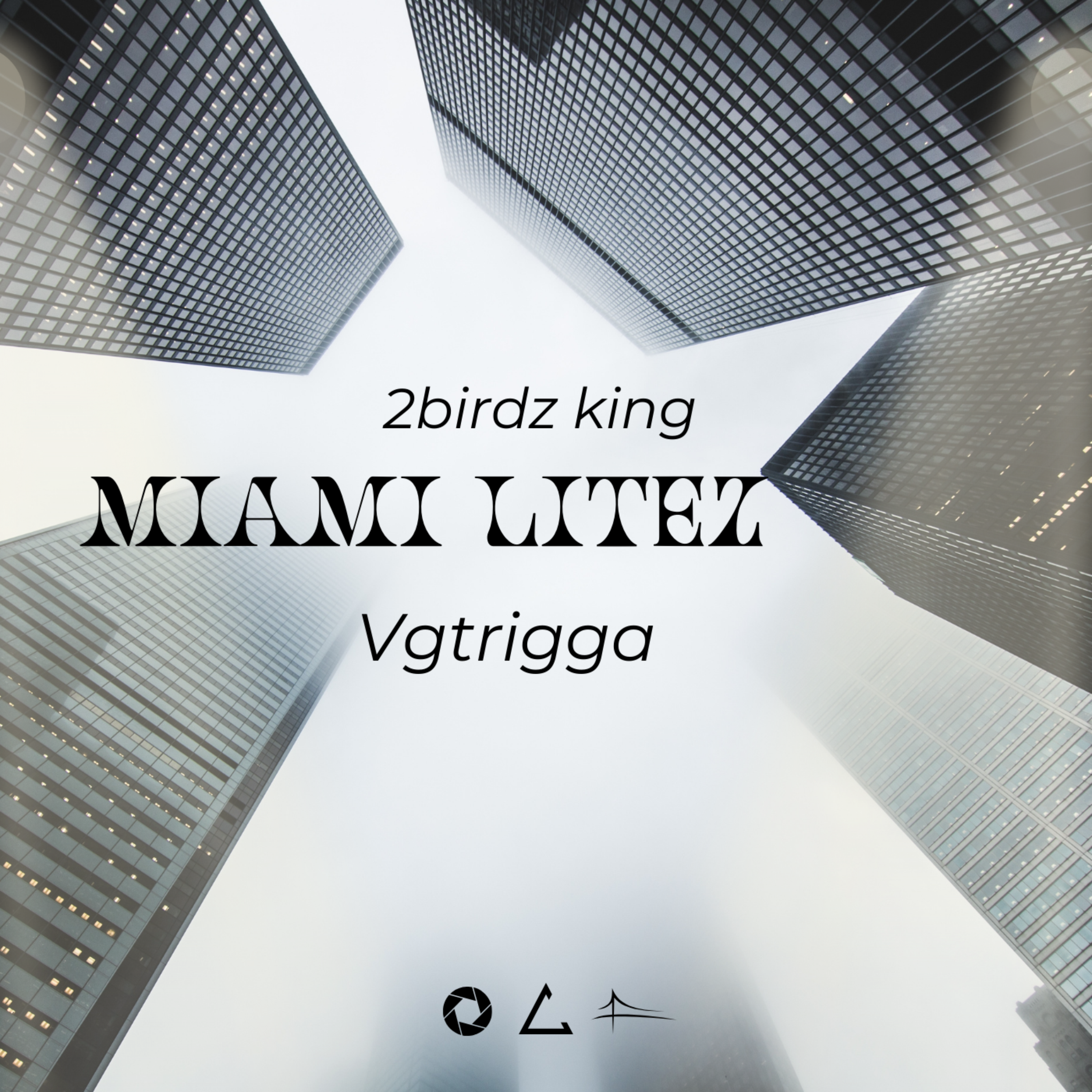 MIAMI LITEZ by Vgtrigga cover art