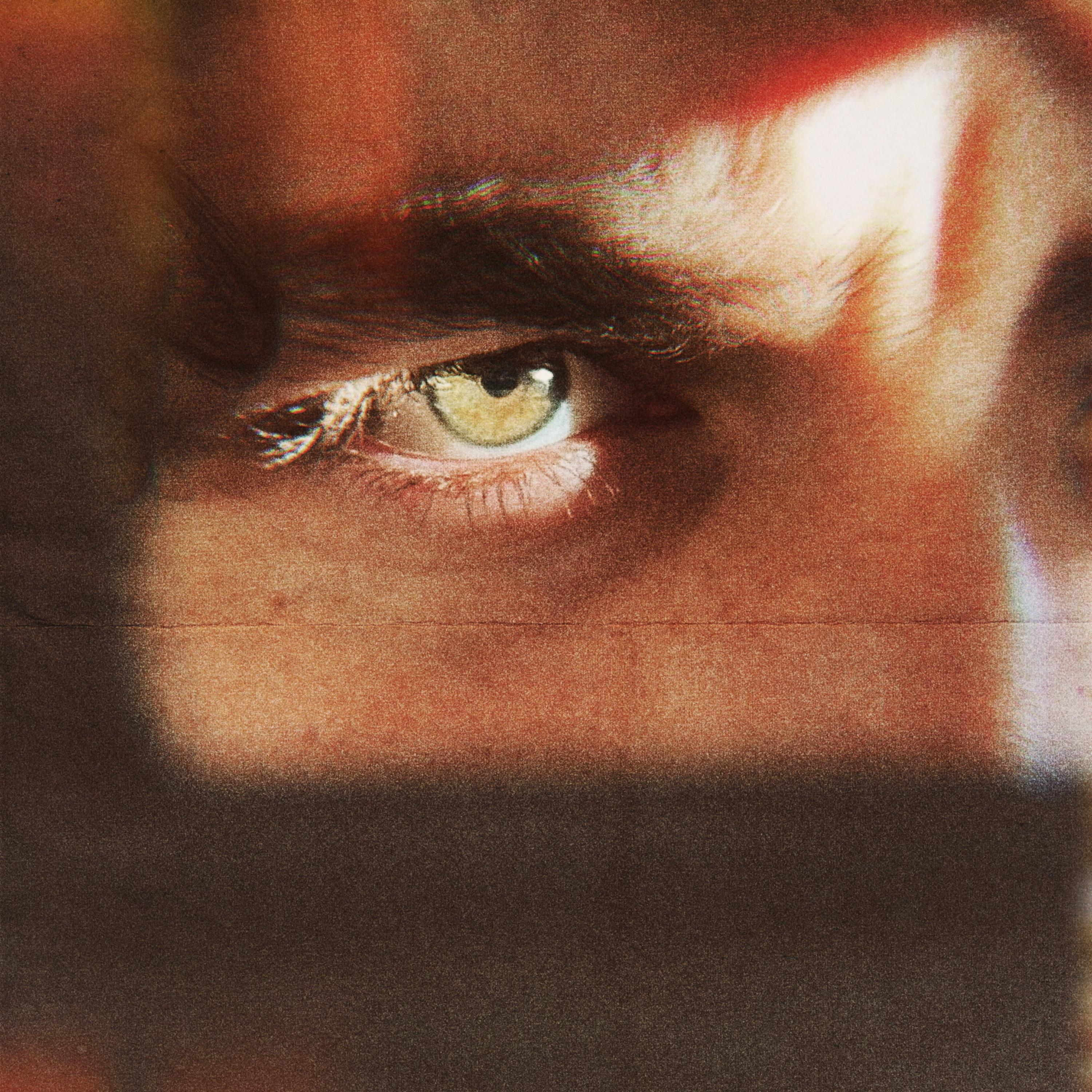 BAIT by Jack Halo
