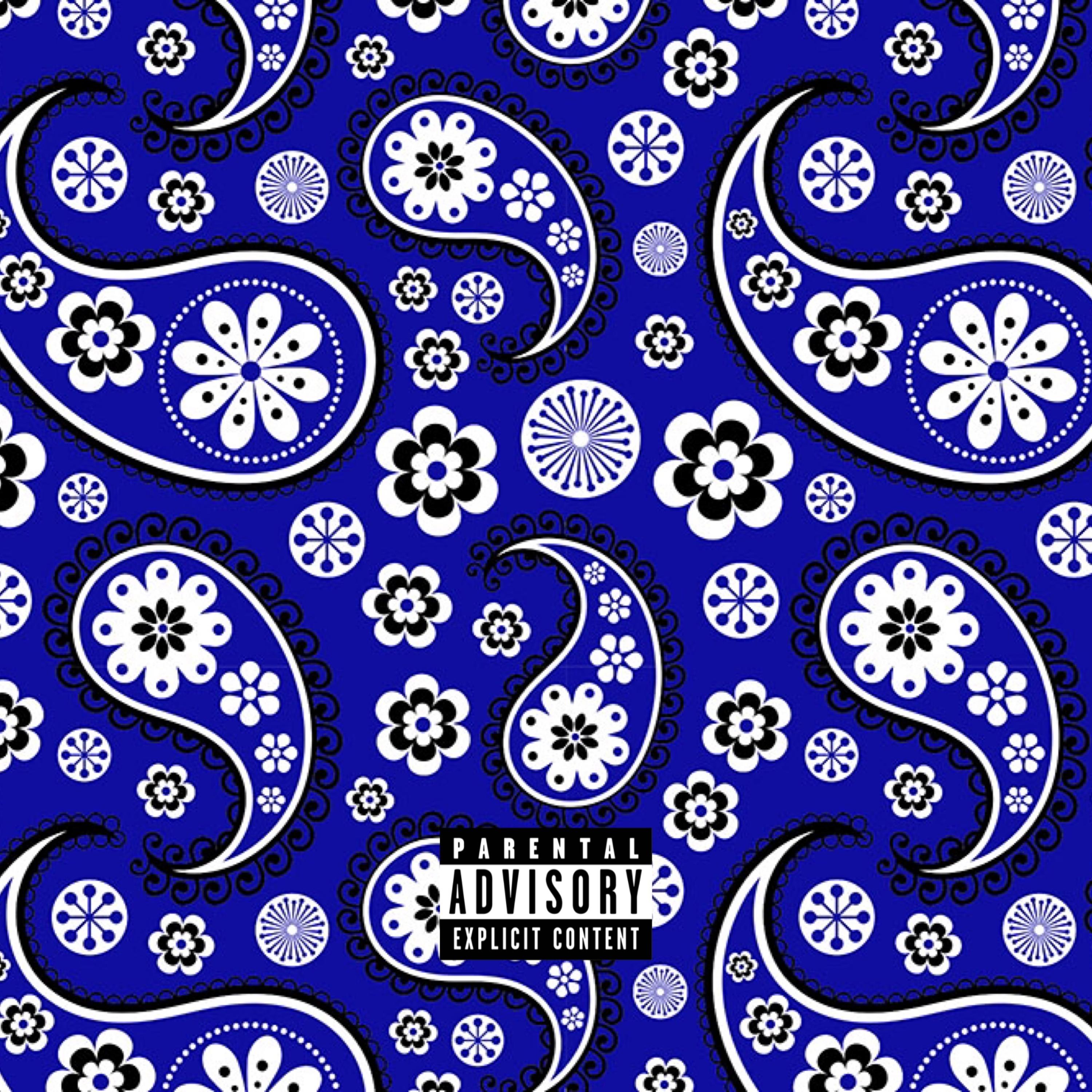 BluWuuu artwork