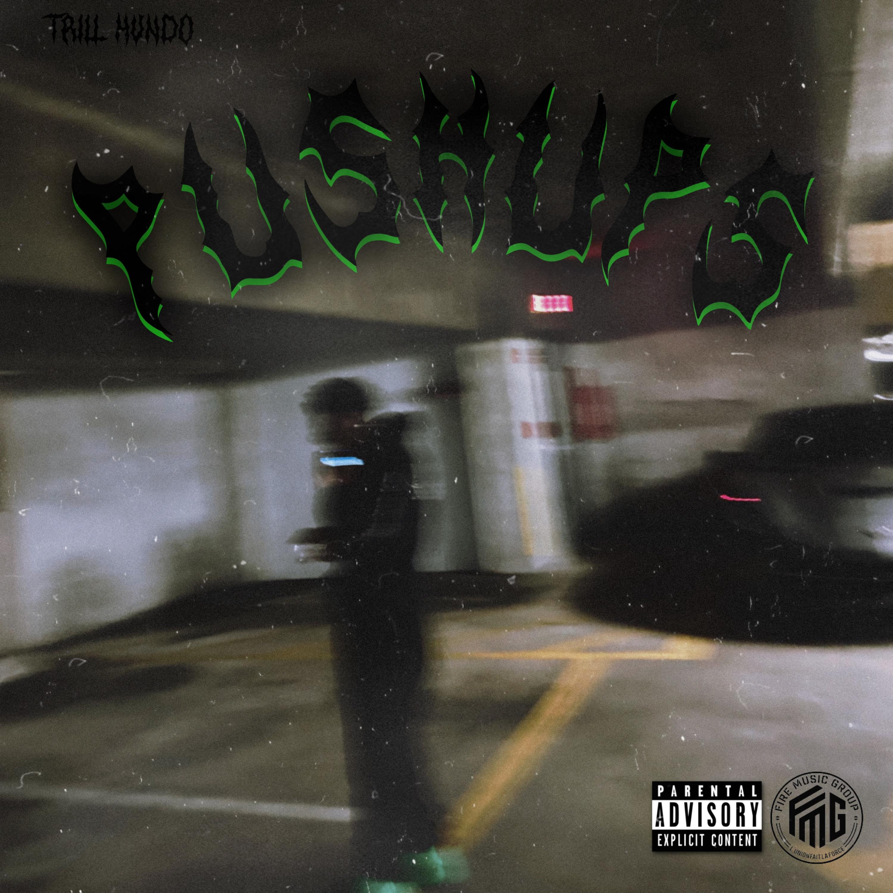 PUSHUPS artwork