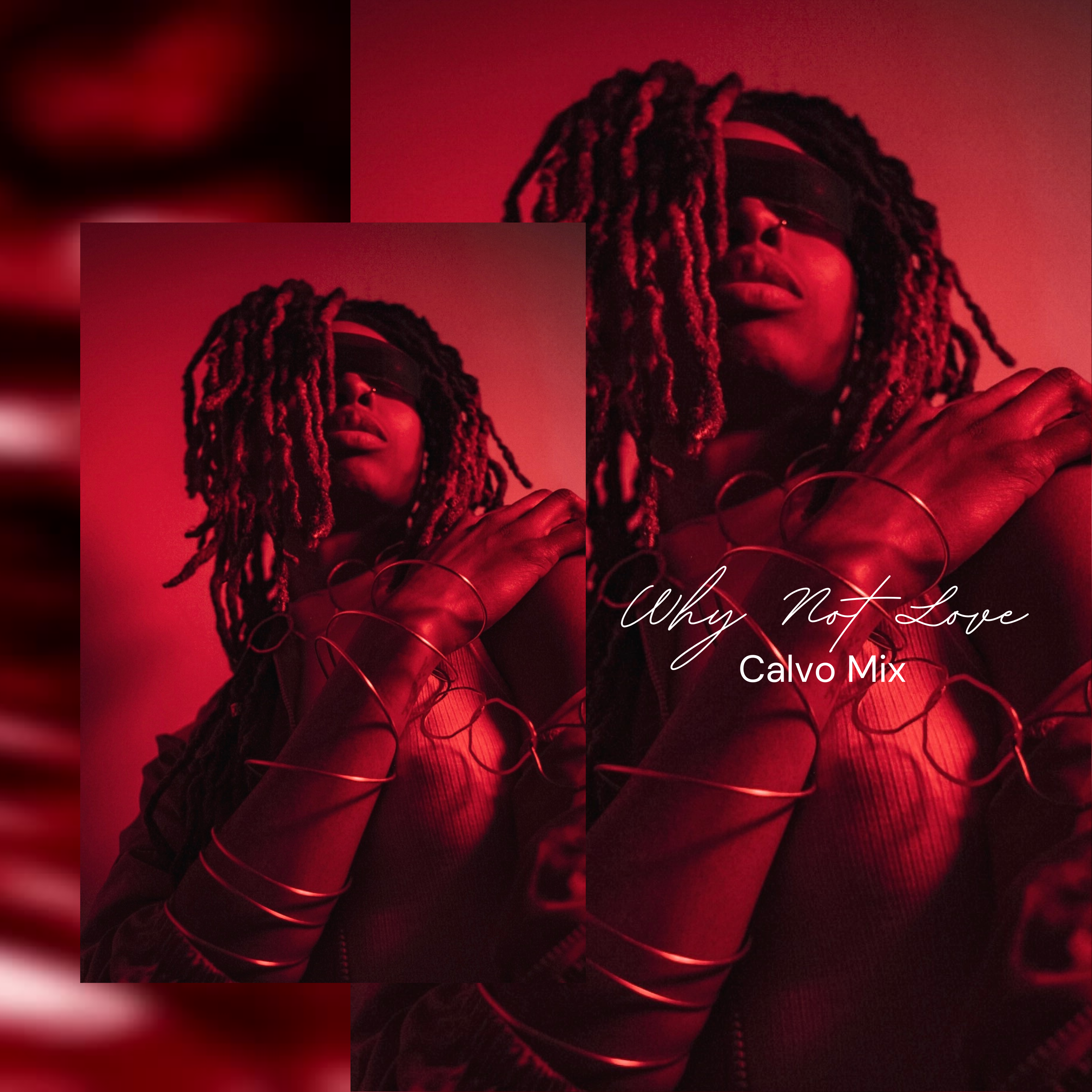 Why Not Loveee artwork