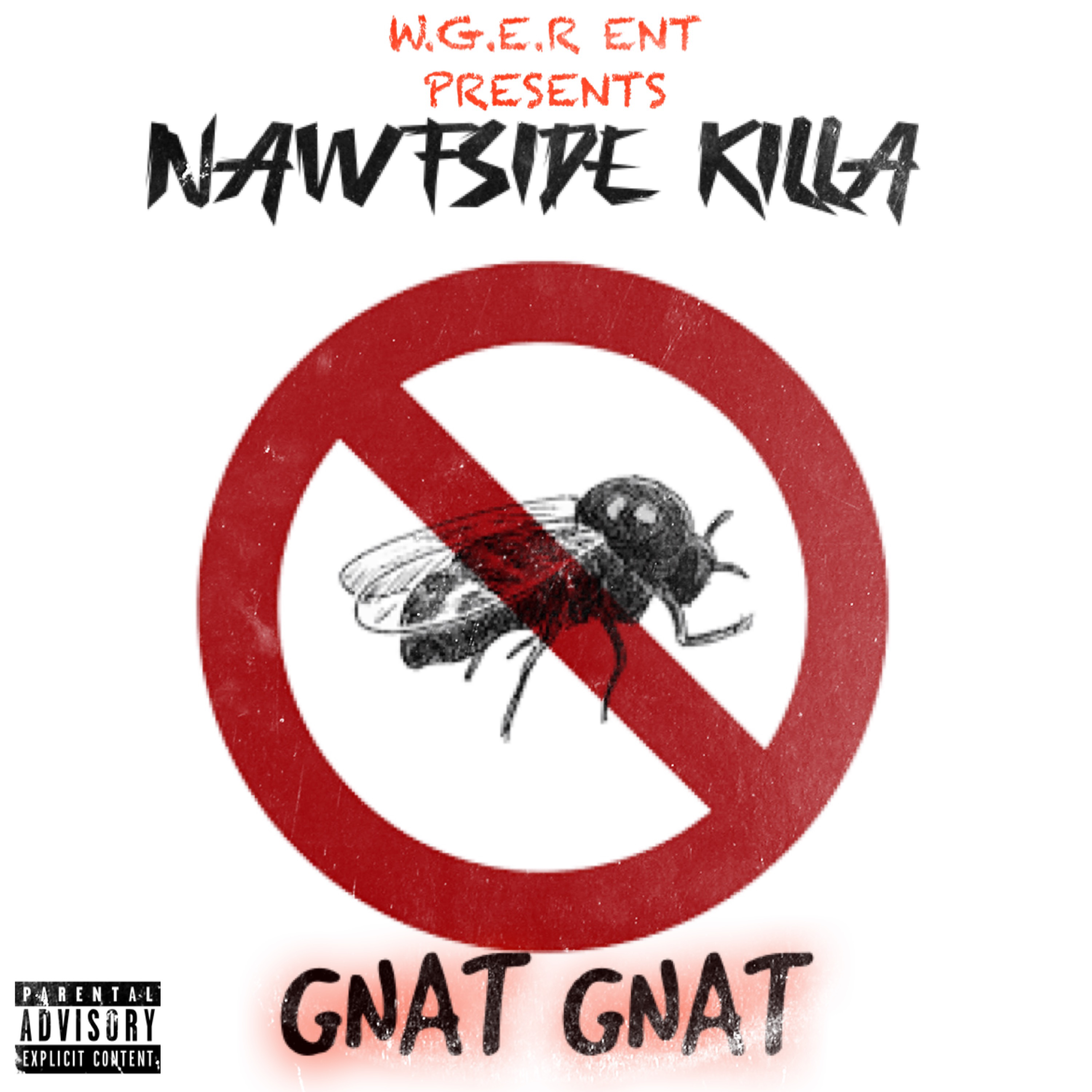 Gnat Gnat artwork