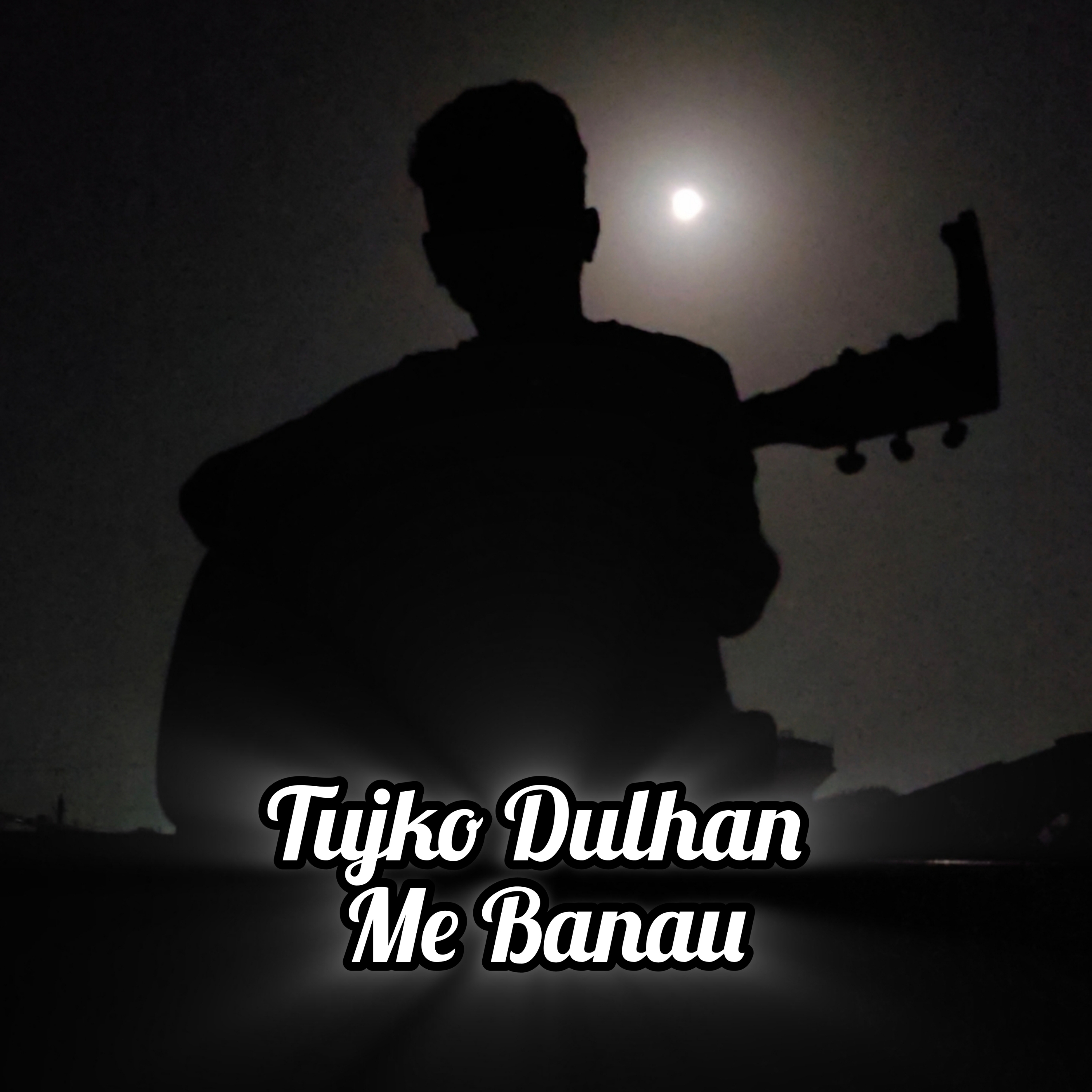 Tujko Dulhan Me Banau by Bharat Vaishnav cover art