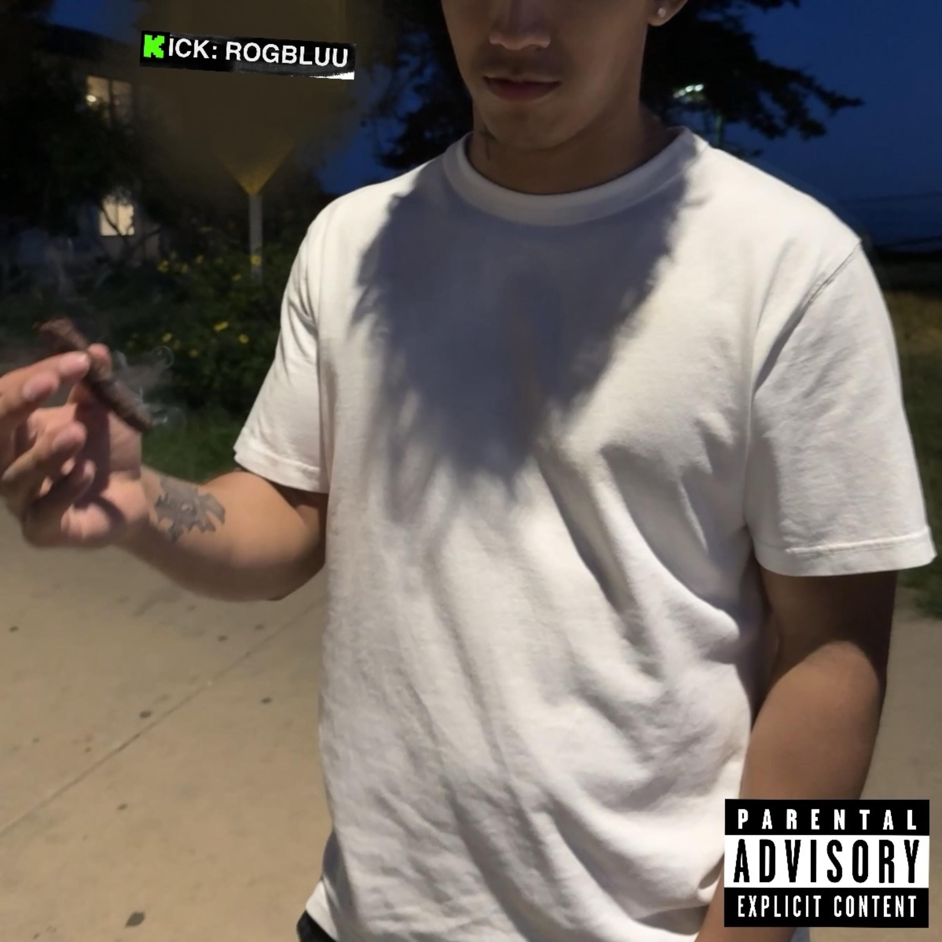 Shemademedisway artwork