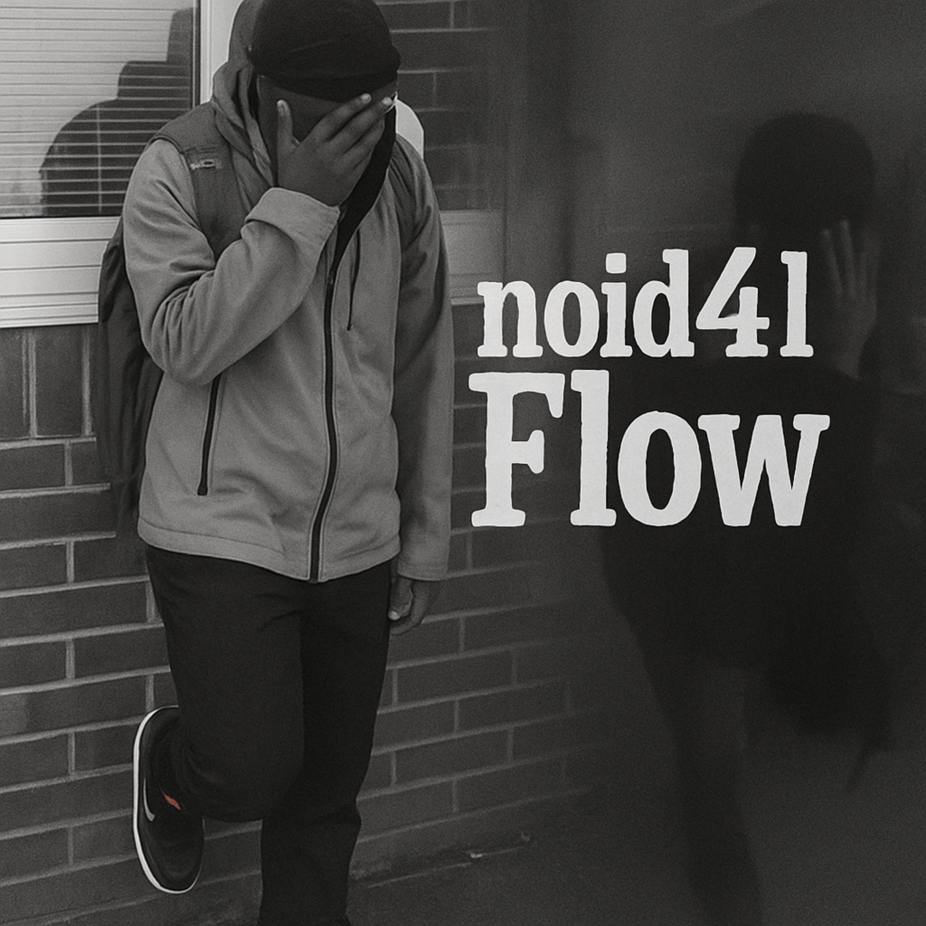 noid4l Flow artwork
