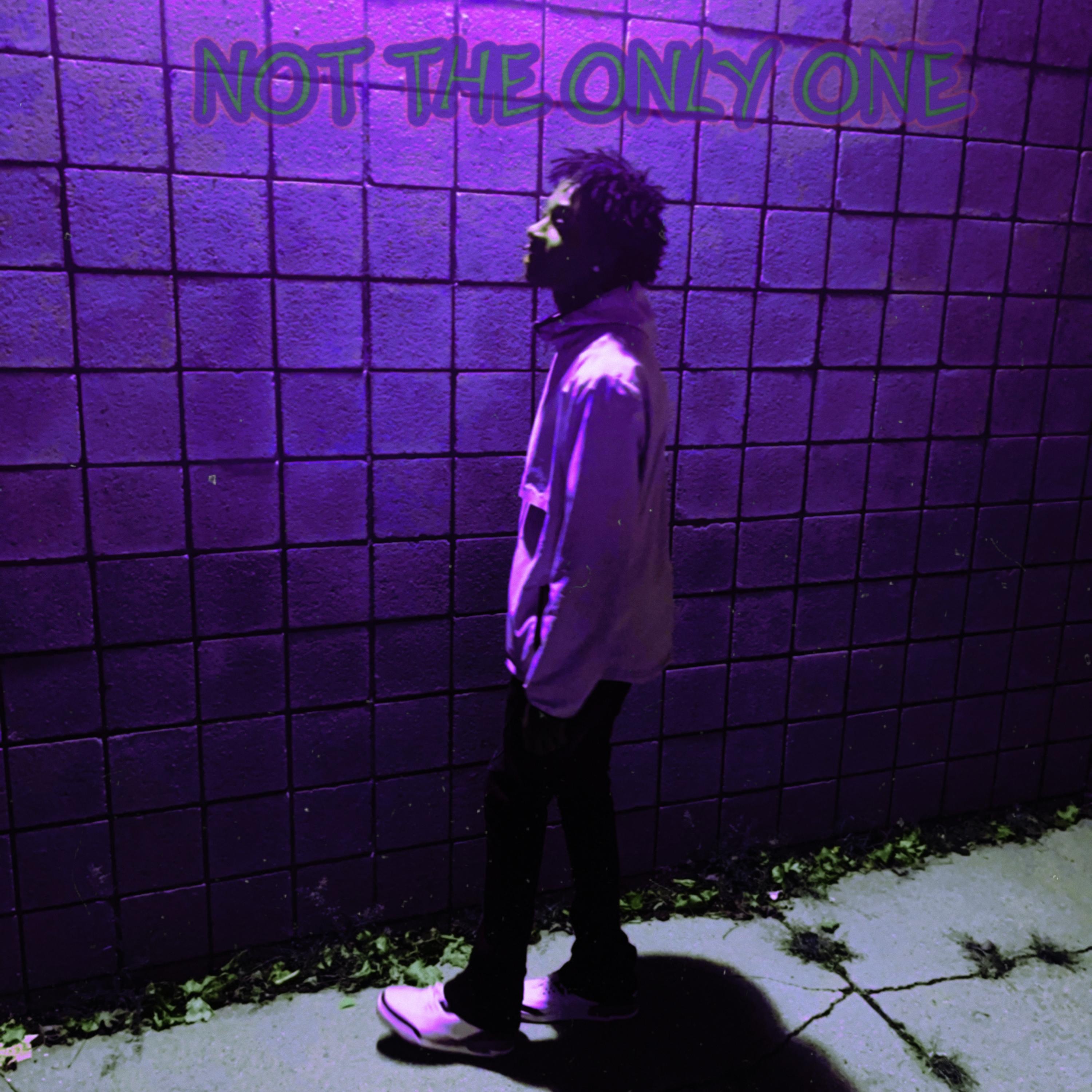 Not The Only One artwork