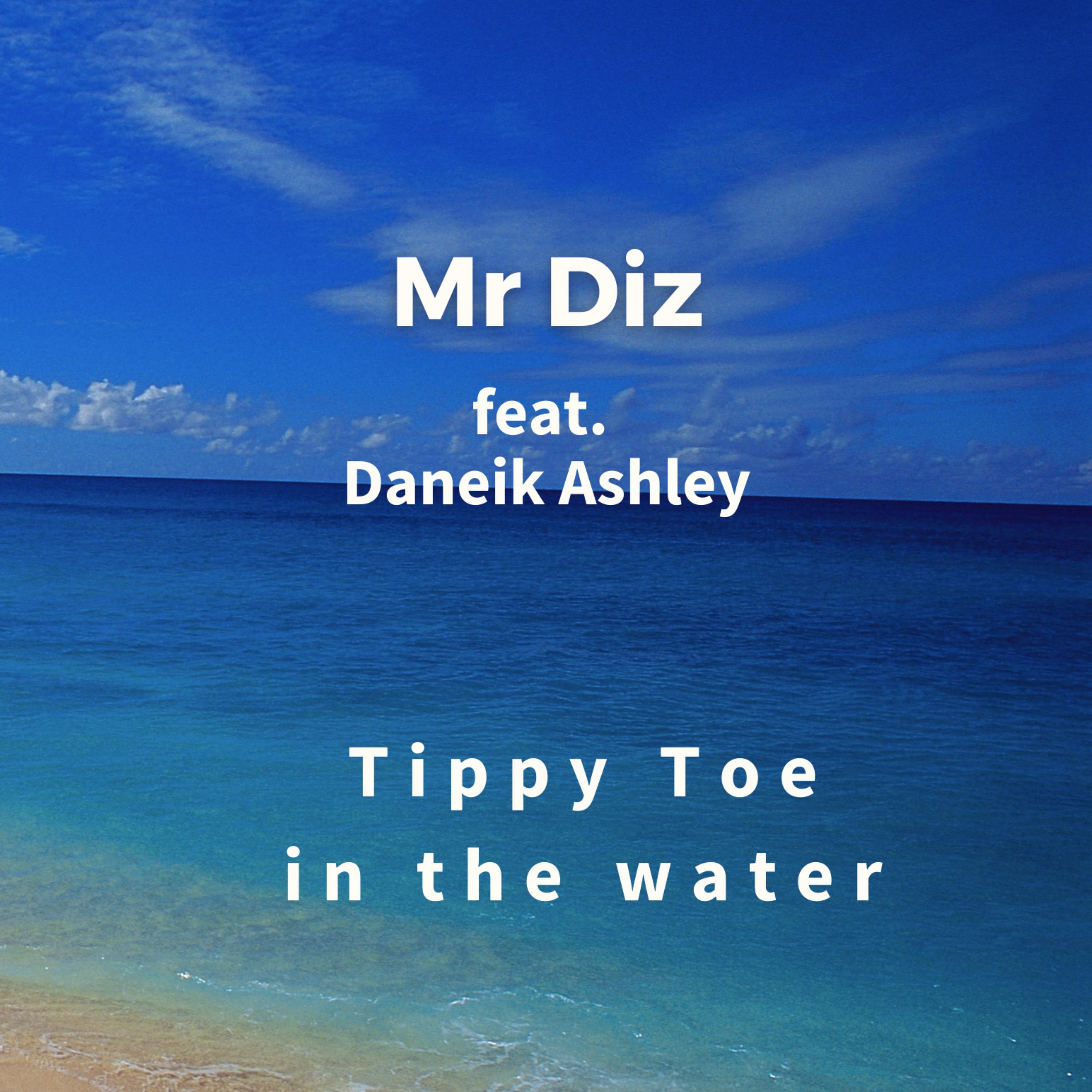 Tippy Toe in the water by Mr Diz cover art