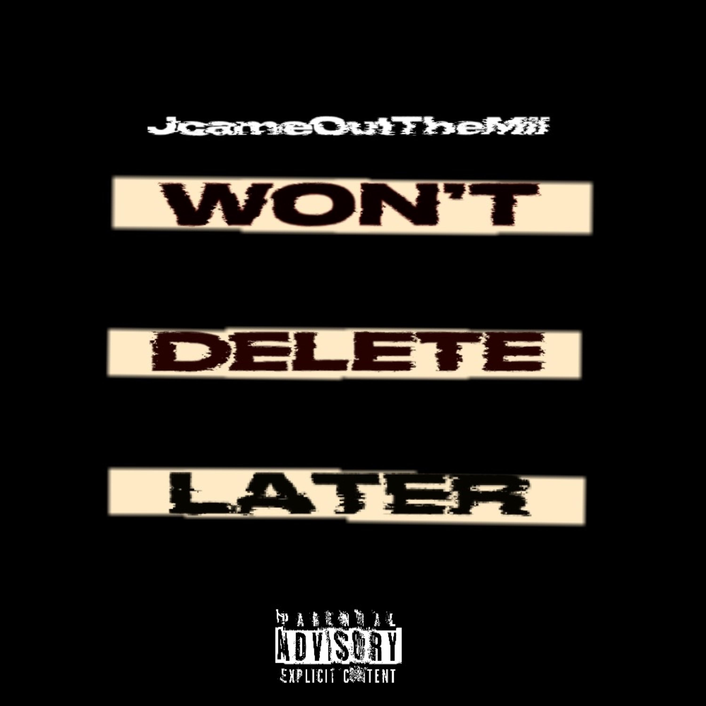 Won’t Delete Later artwork