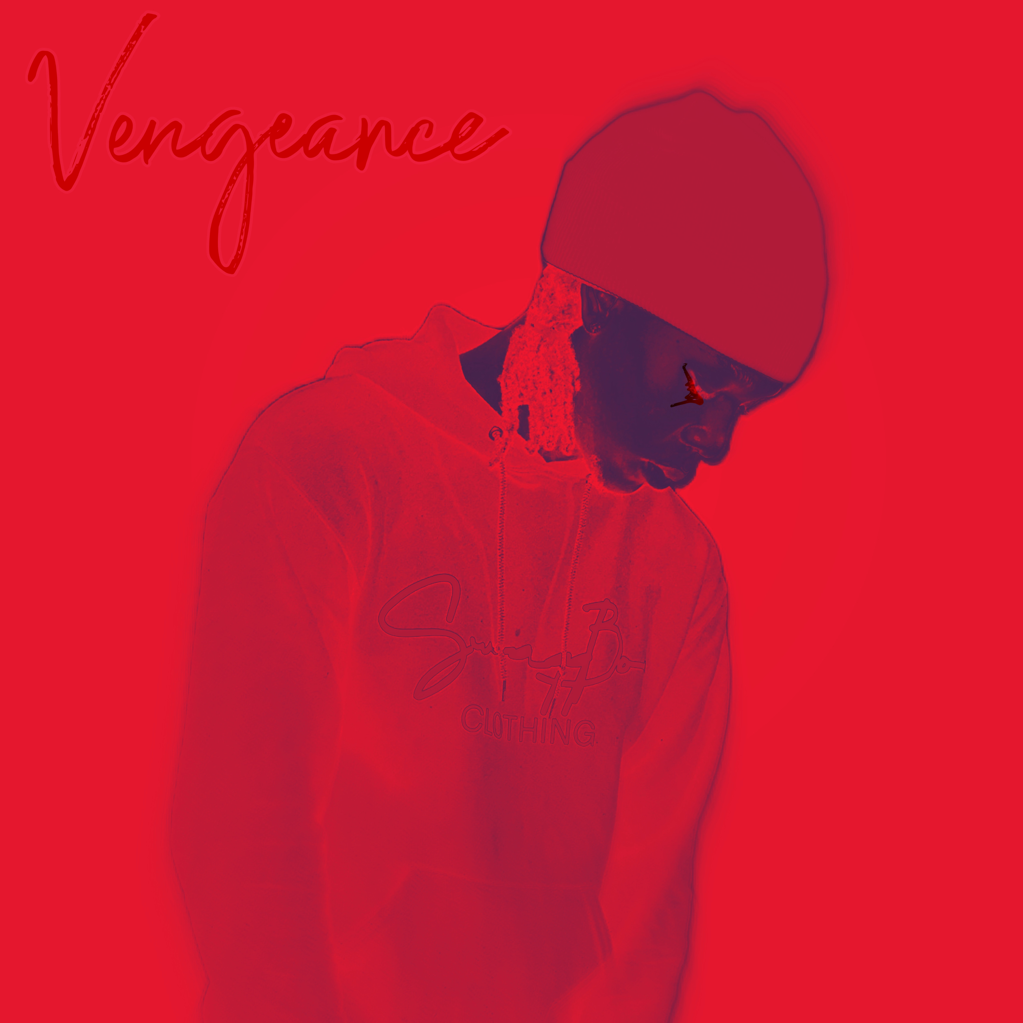 Vengeance artwork