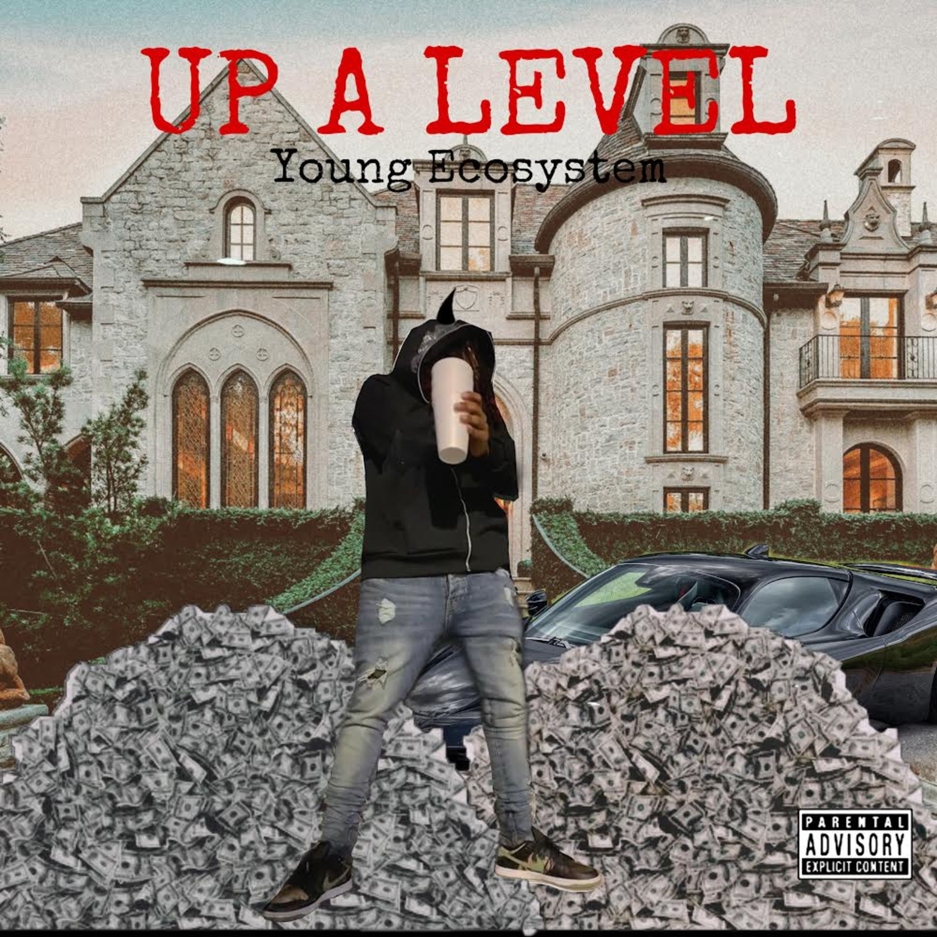UP A LEVEL artwork