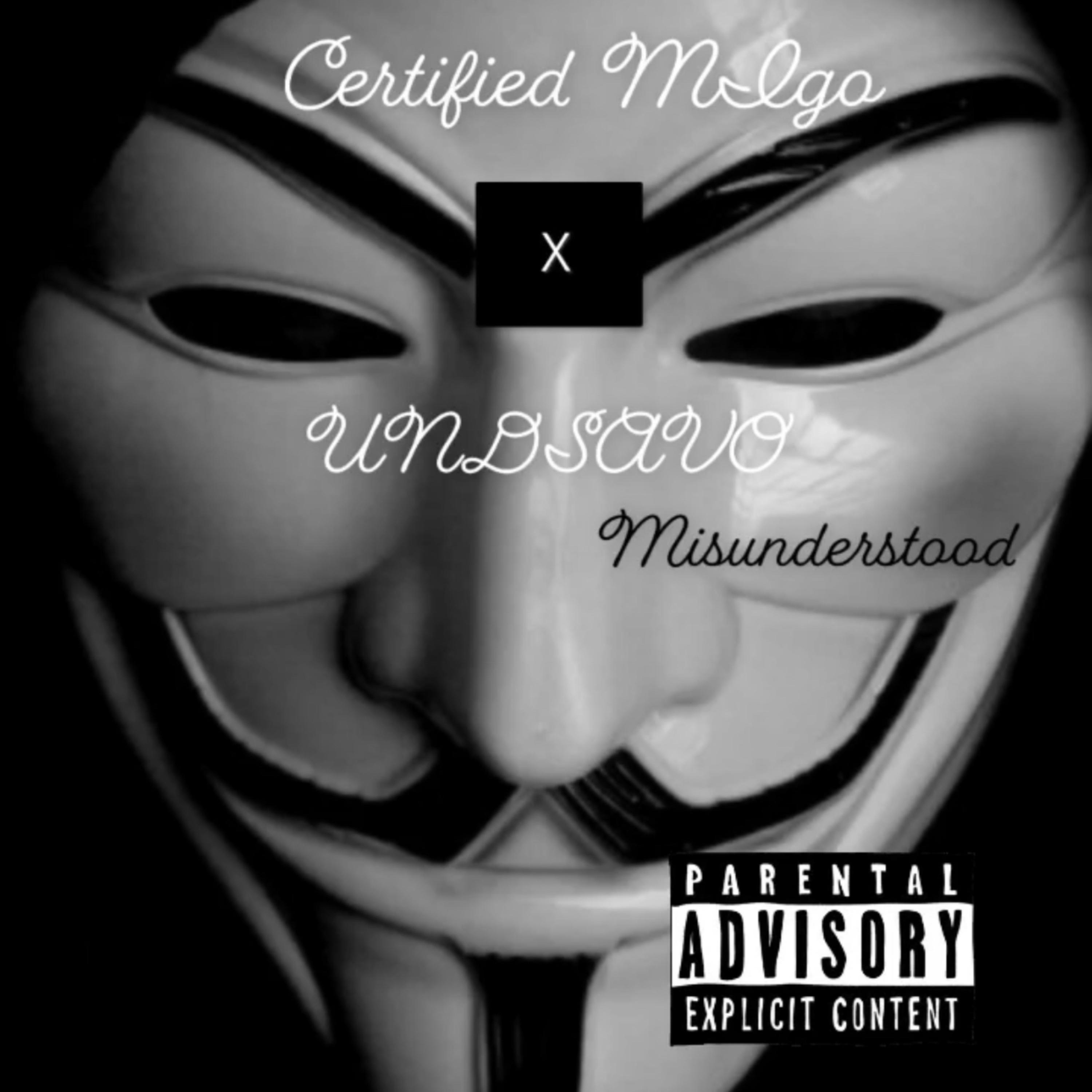 Misunderstood artwork