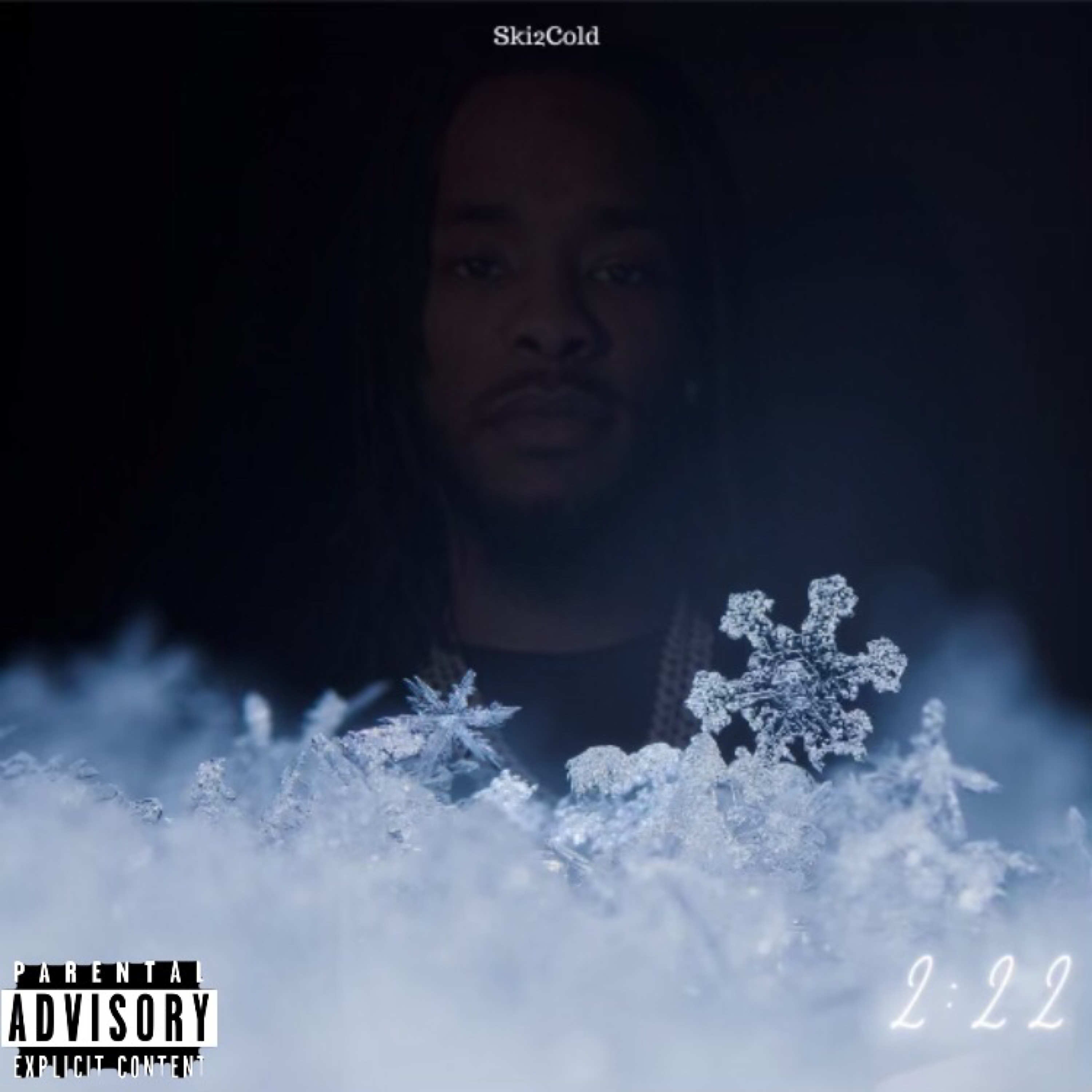 222 artwork