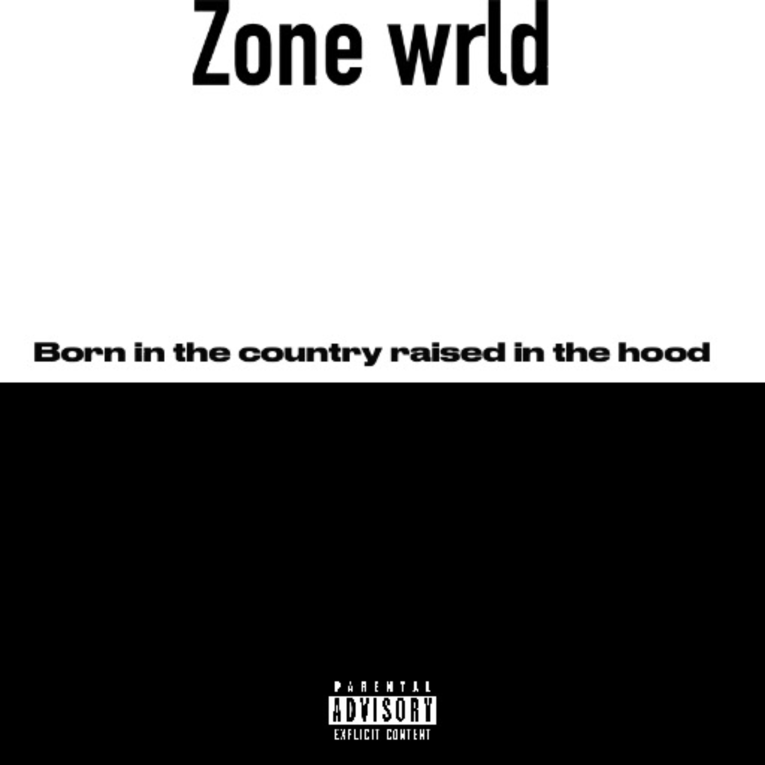 Born In The Country Raised In The Hood by Zone Wrld cover art