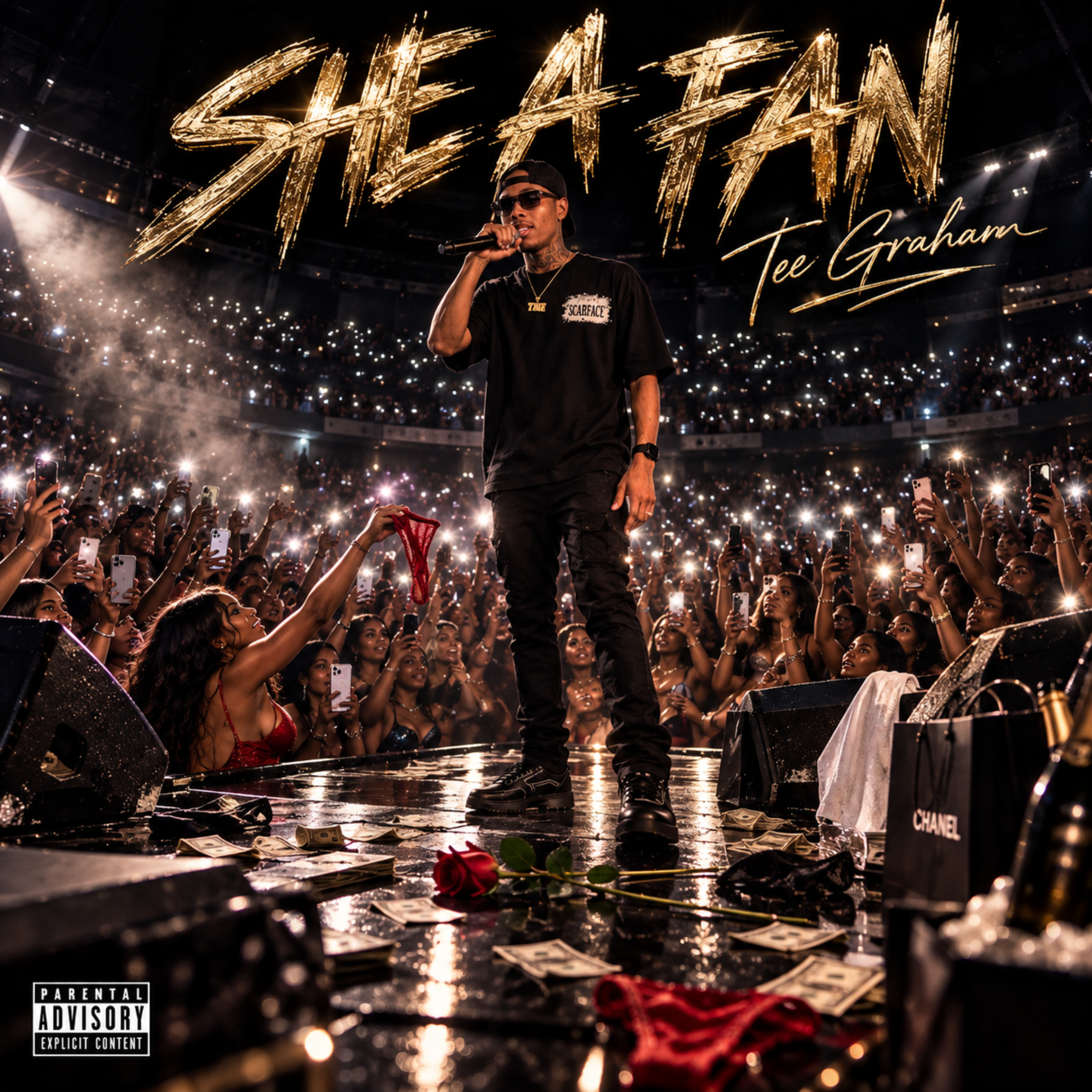 She A Fan by Tee Graham cover art