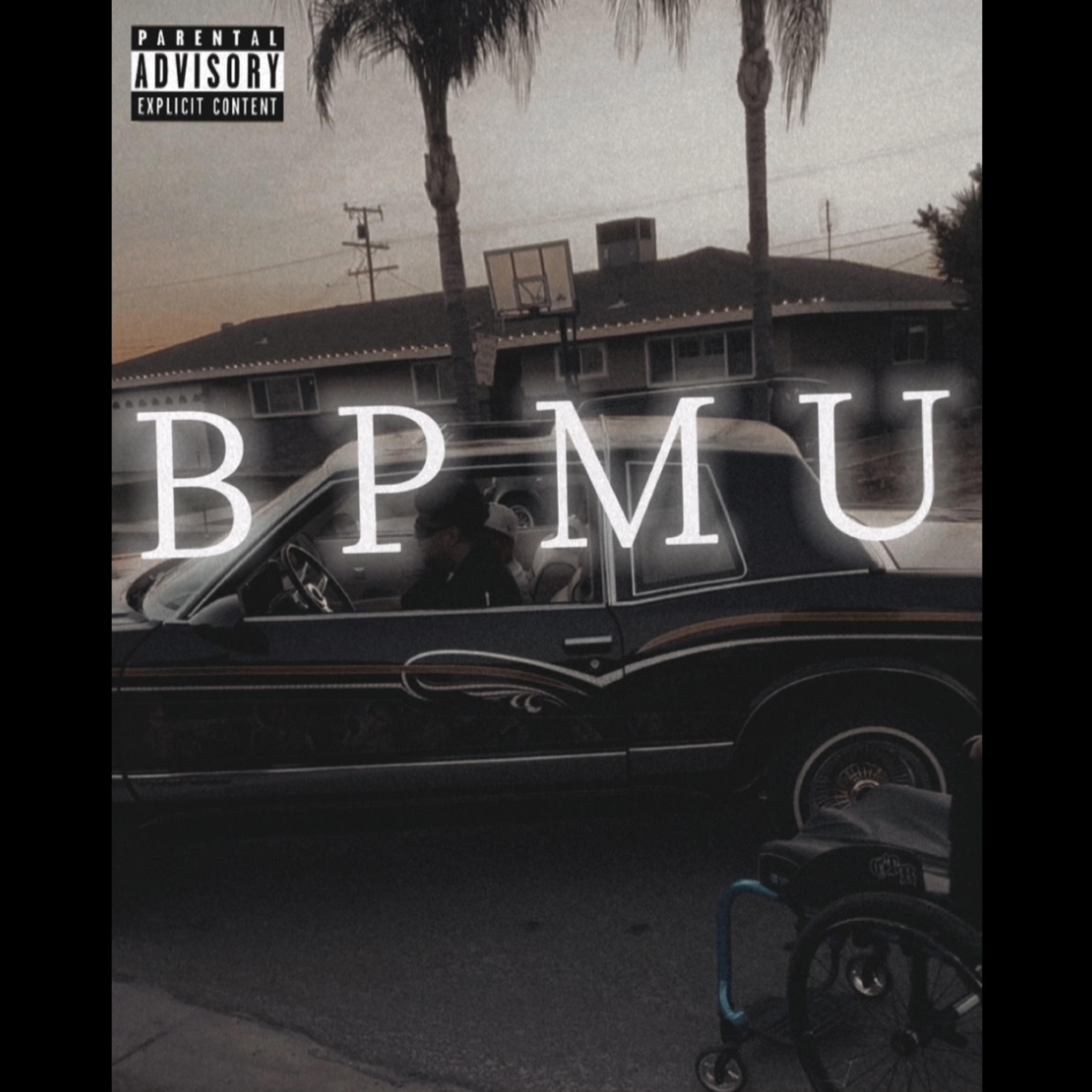 B!ITCH PICK ME UP artwork