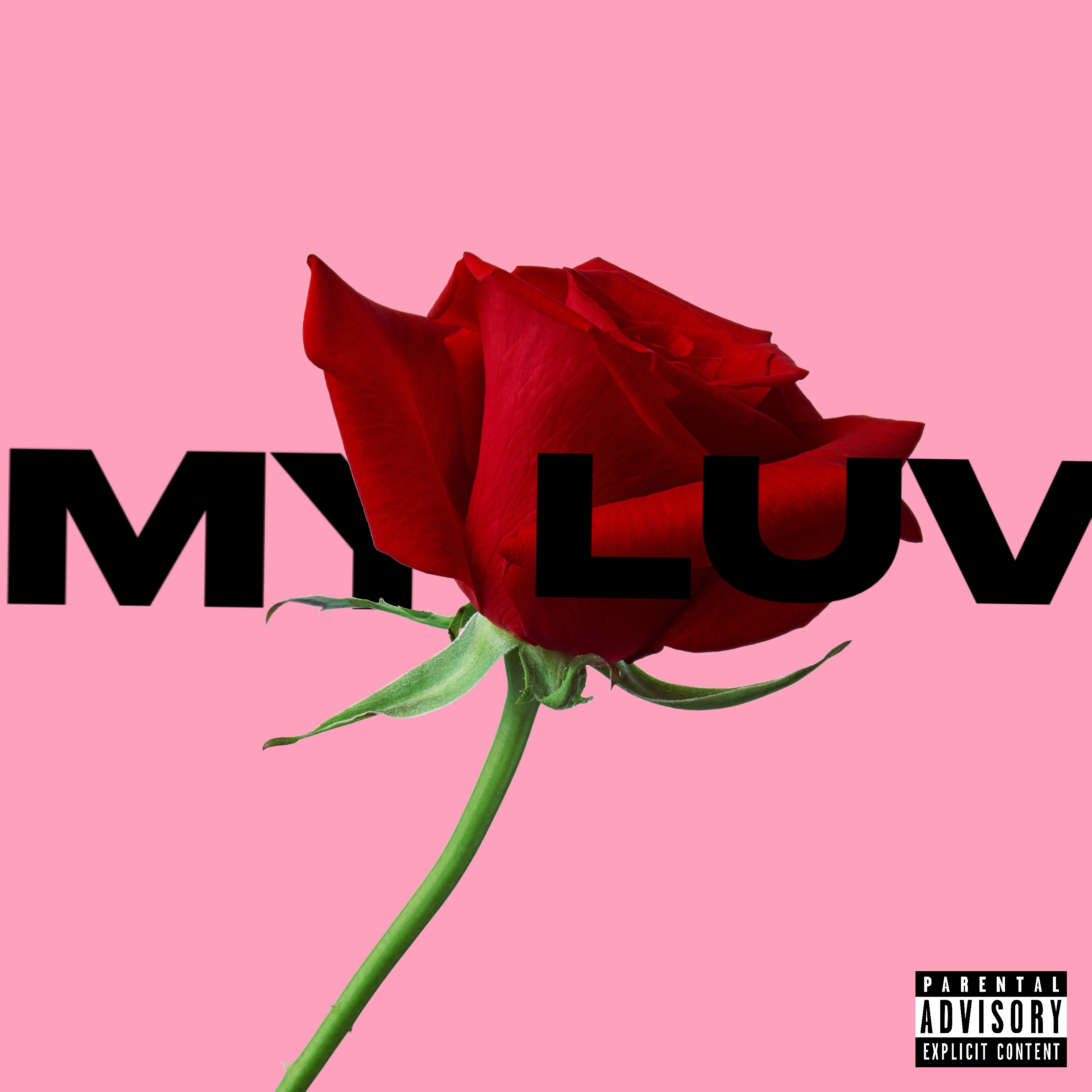 My Luv artwork