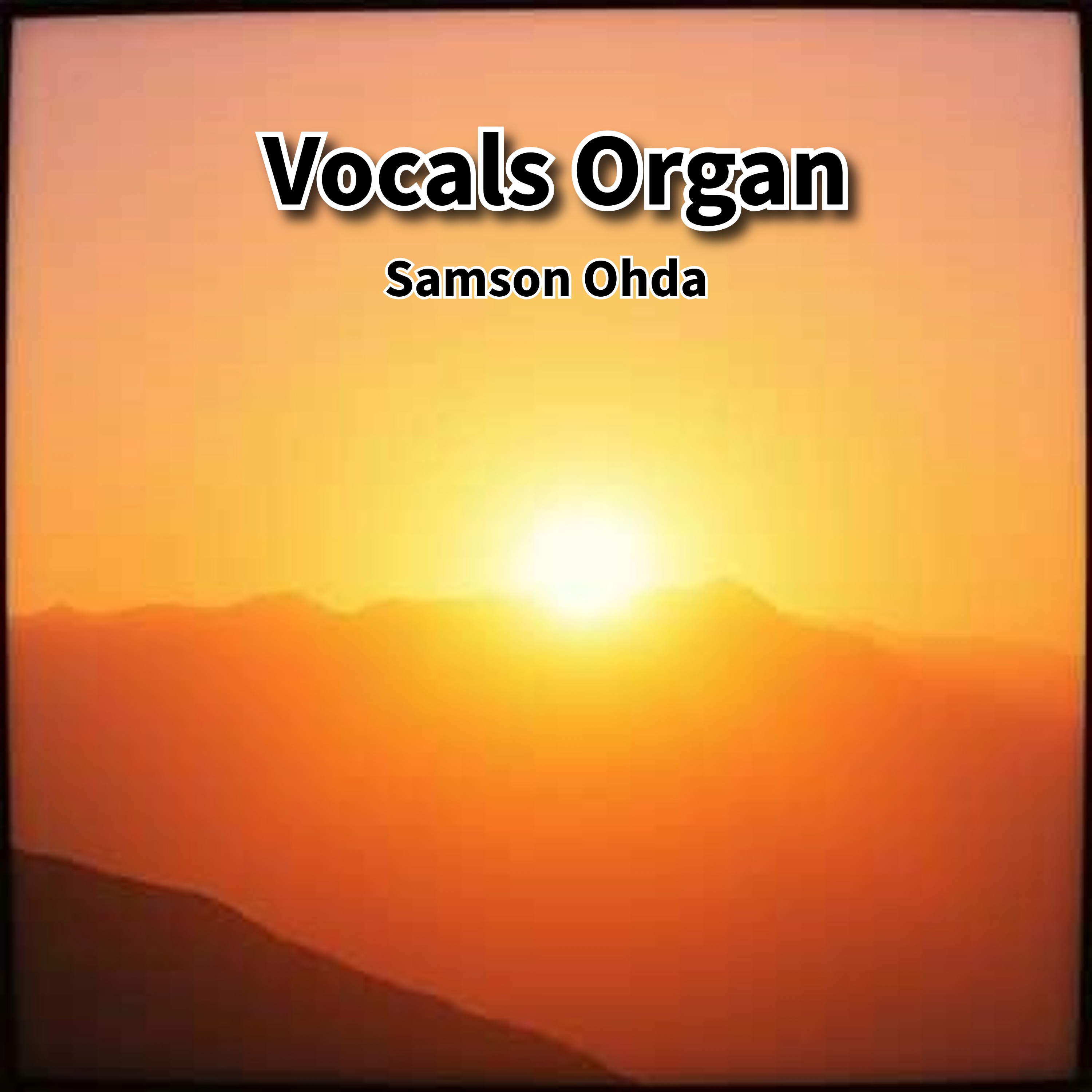 Vocals Organ Gospel Vol 2 Album artwork