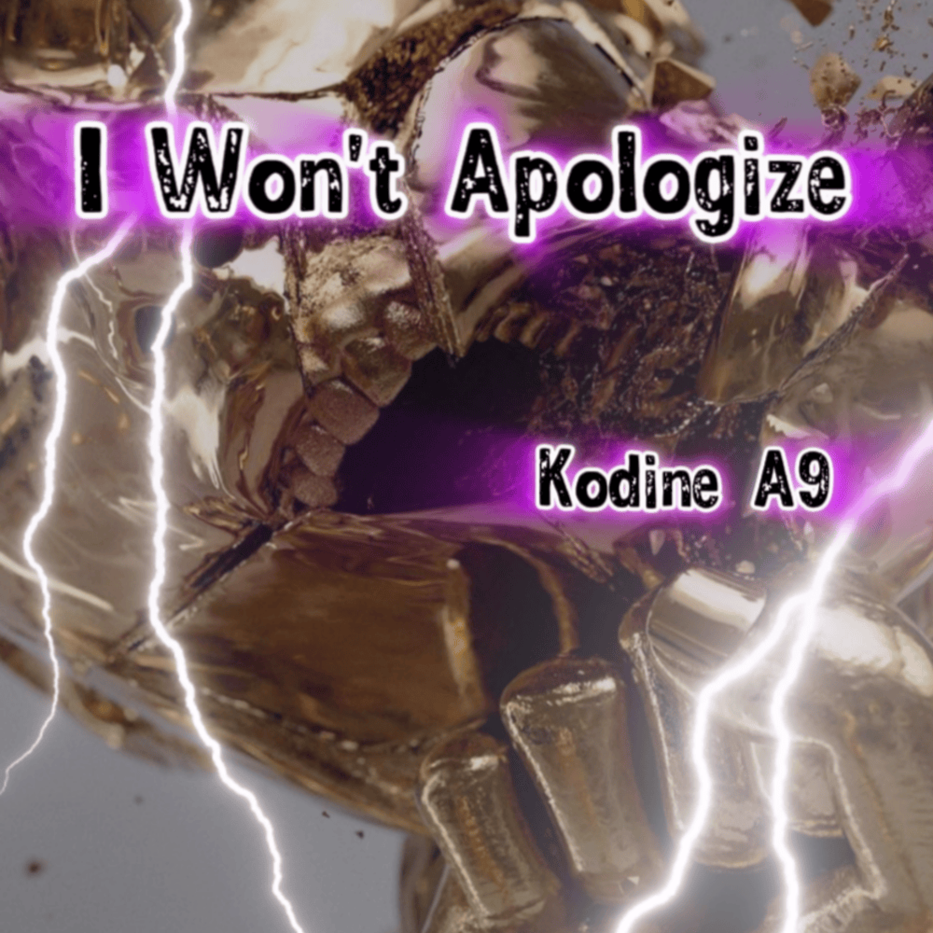 I Won't apologize by Kodine A9 cover art