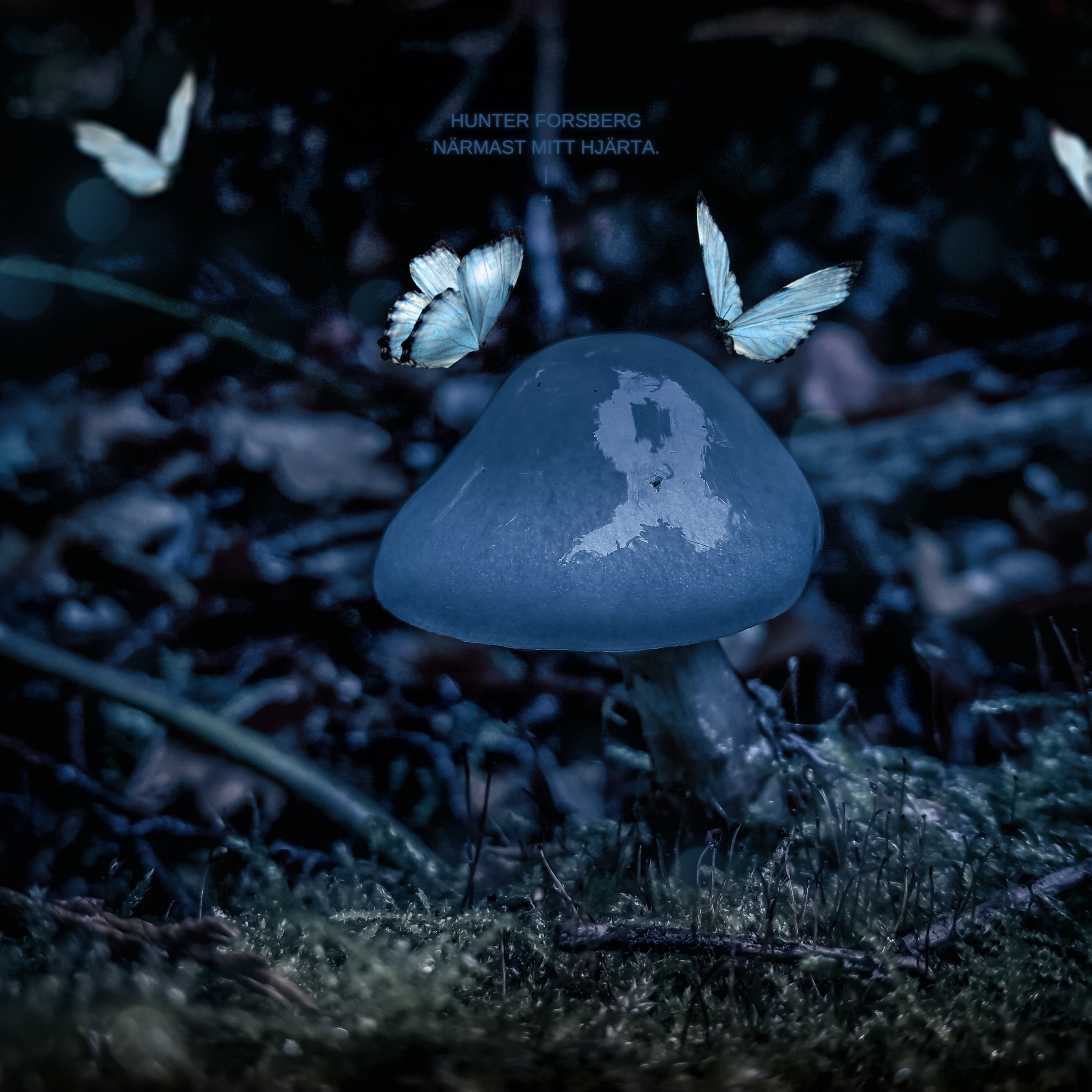 Närmast mitt hjärta. artwork