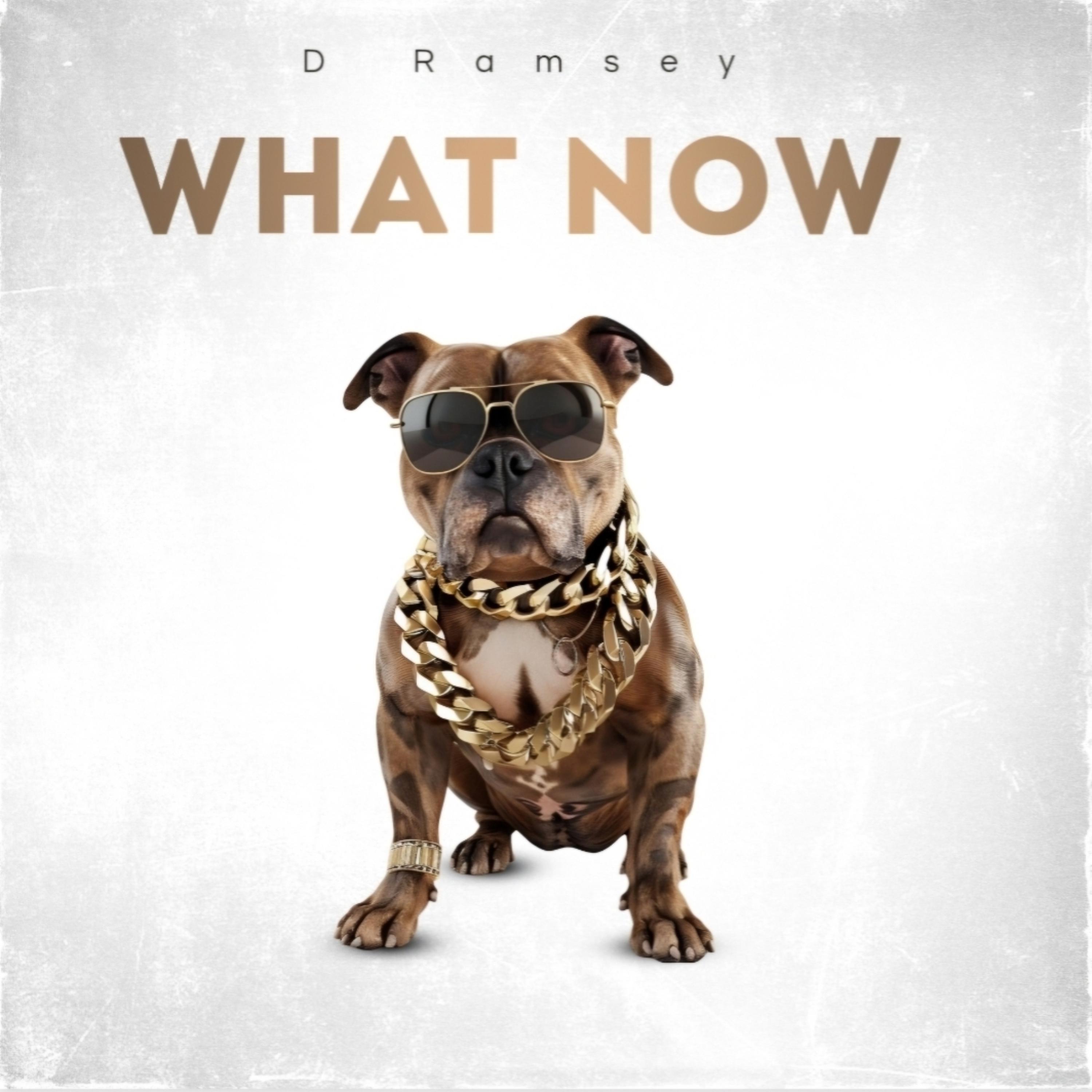 What Now artwork