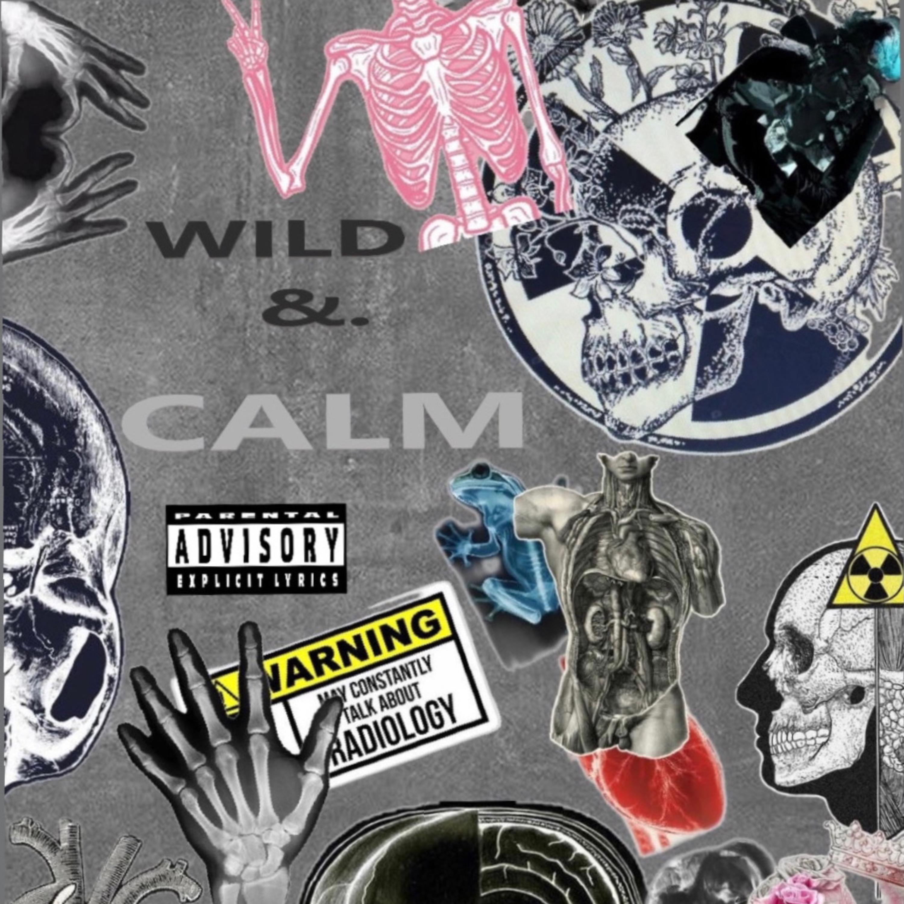 WILD&CALM artwork