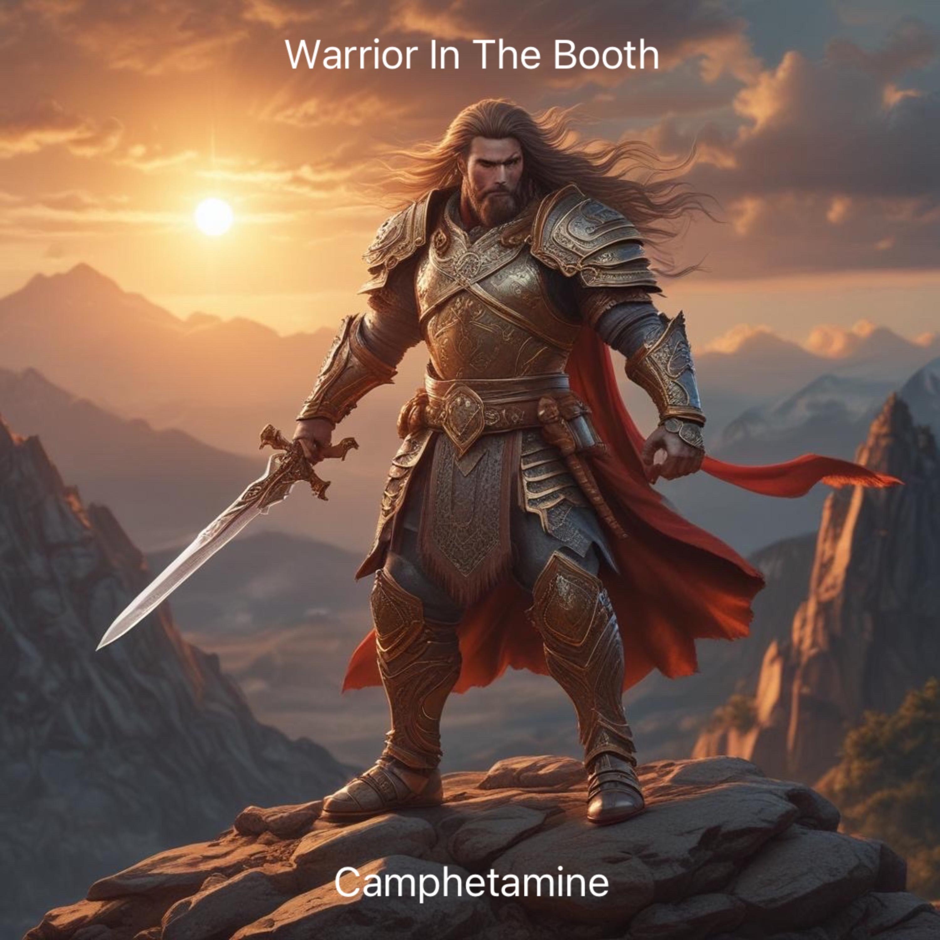 Warrior In The Booth artwork