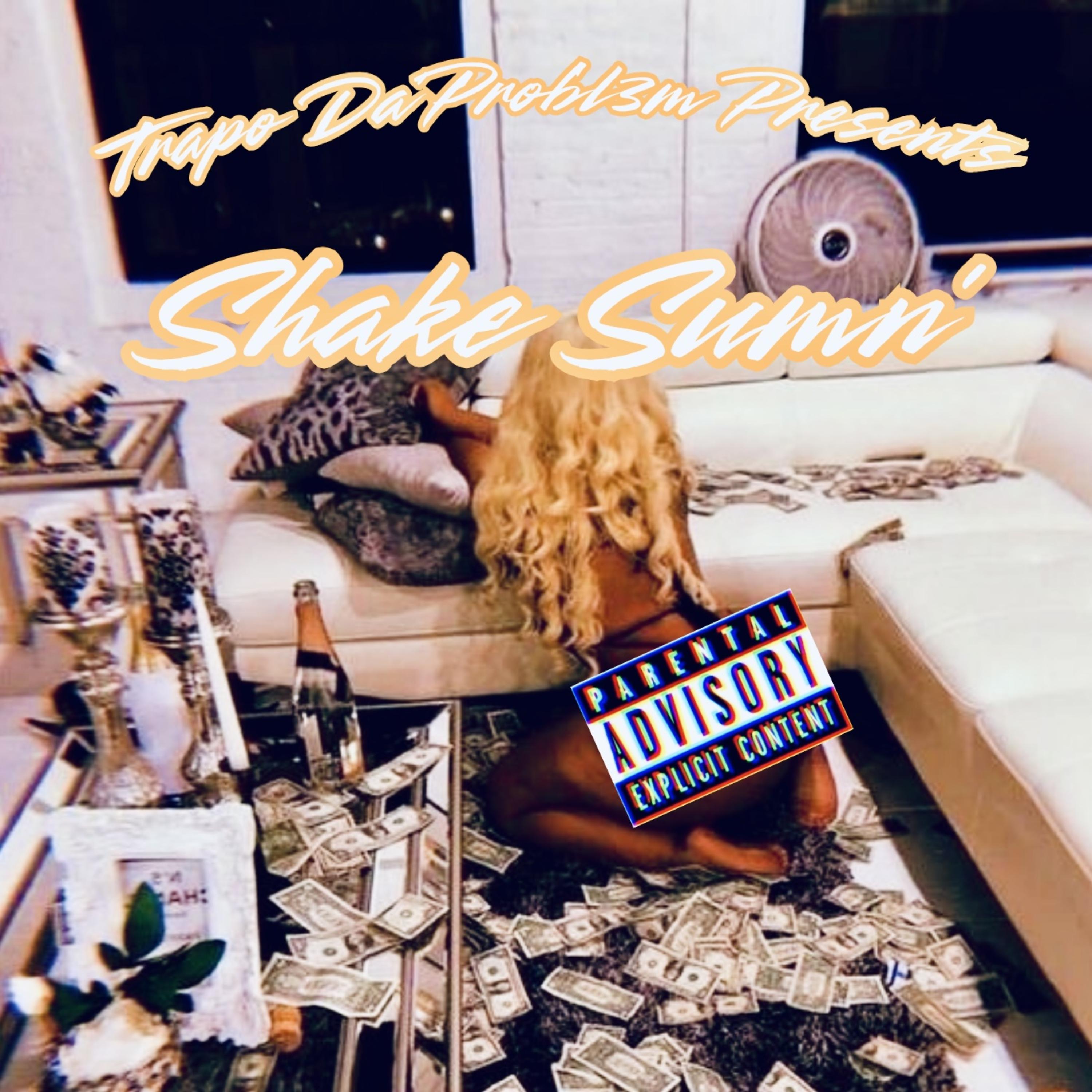 SHAKE SUMN’ artwork