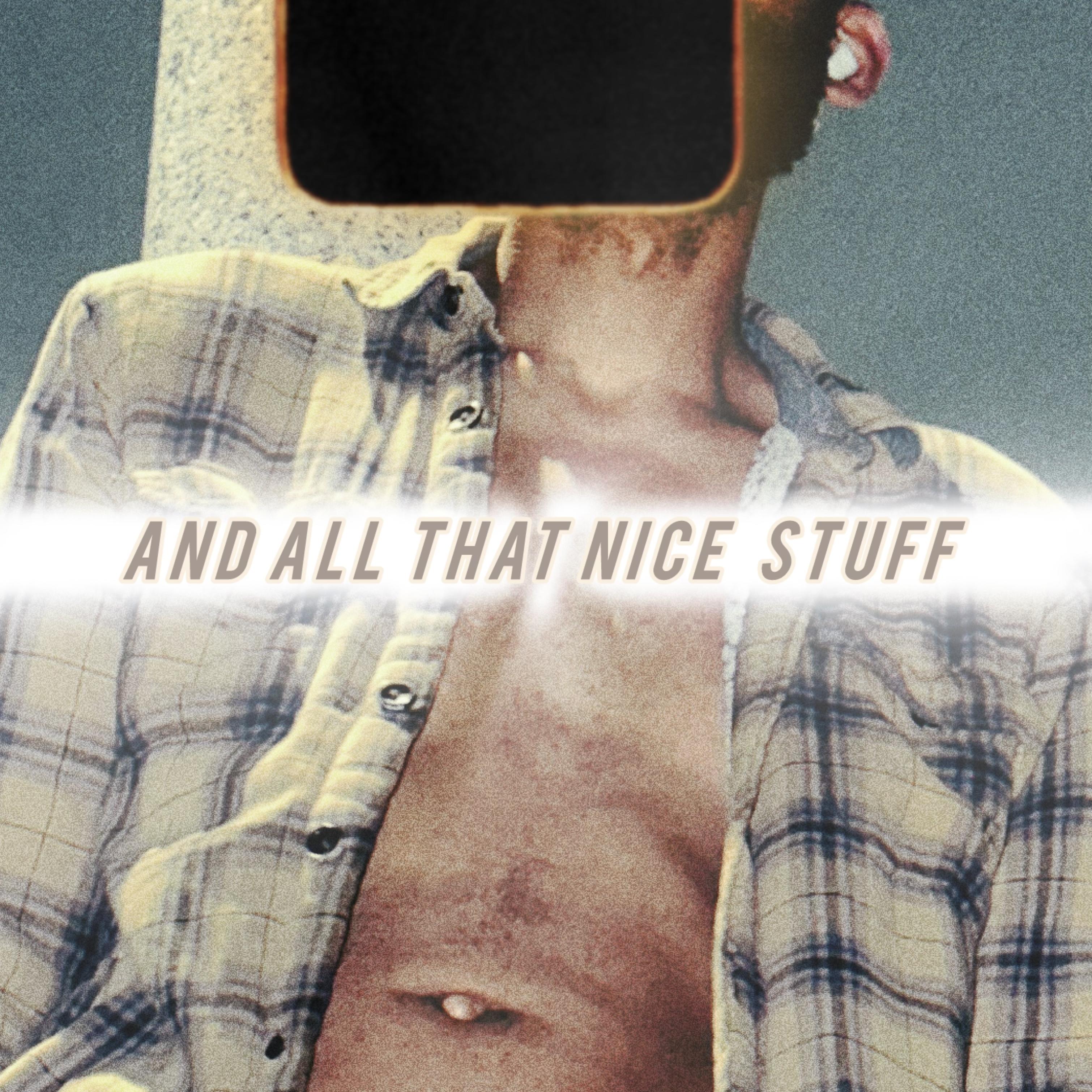 And All That Nice Stuff artwork