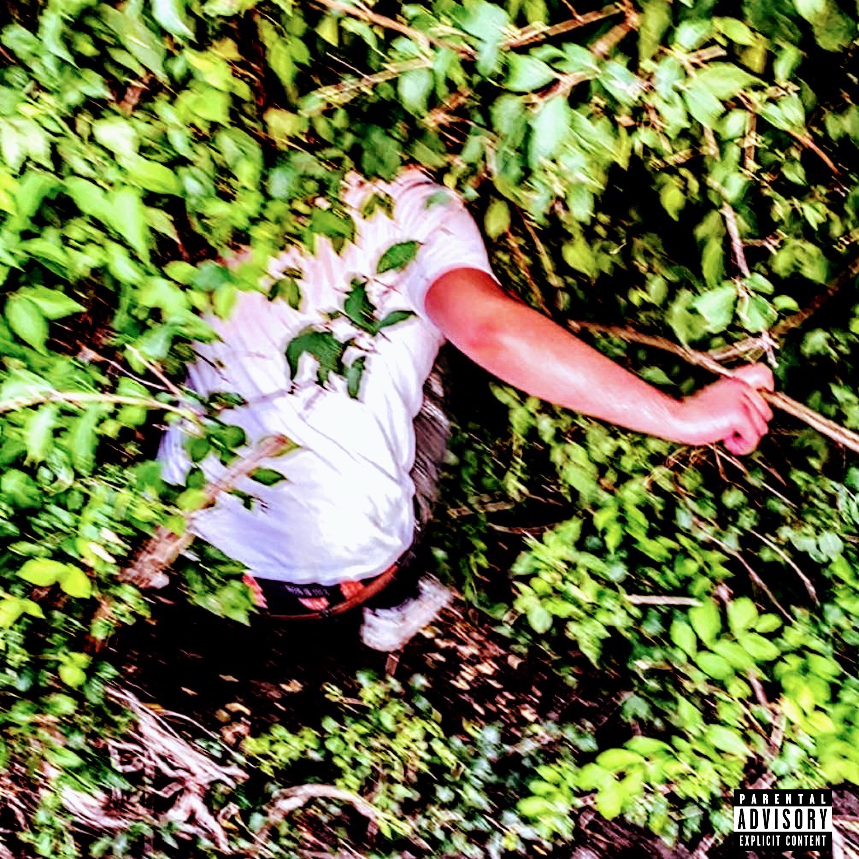 Botany artwork