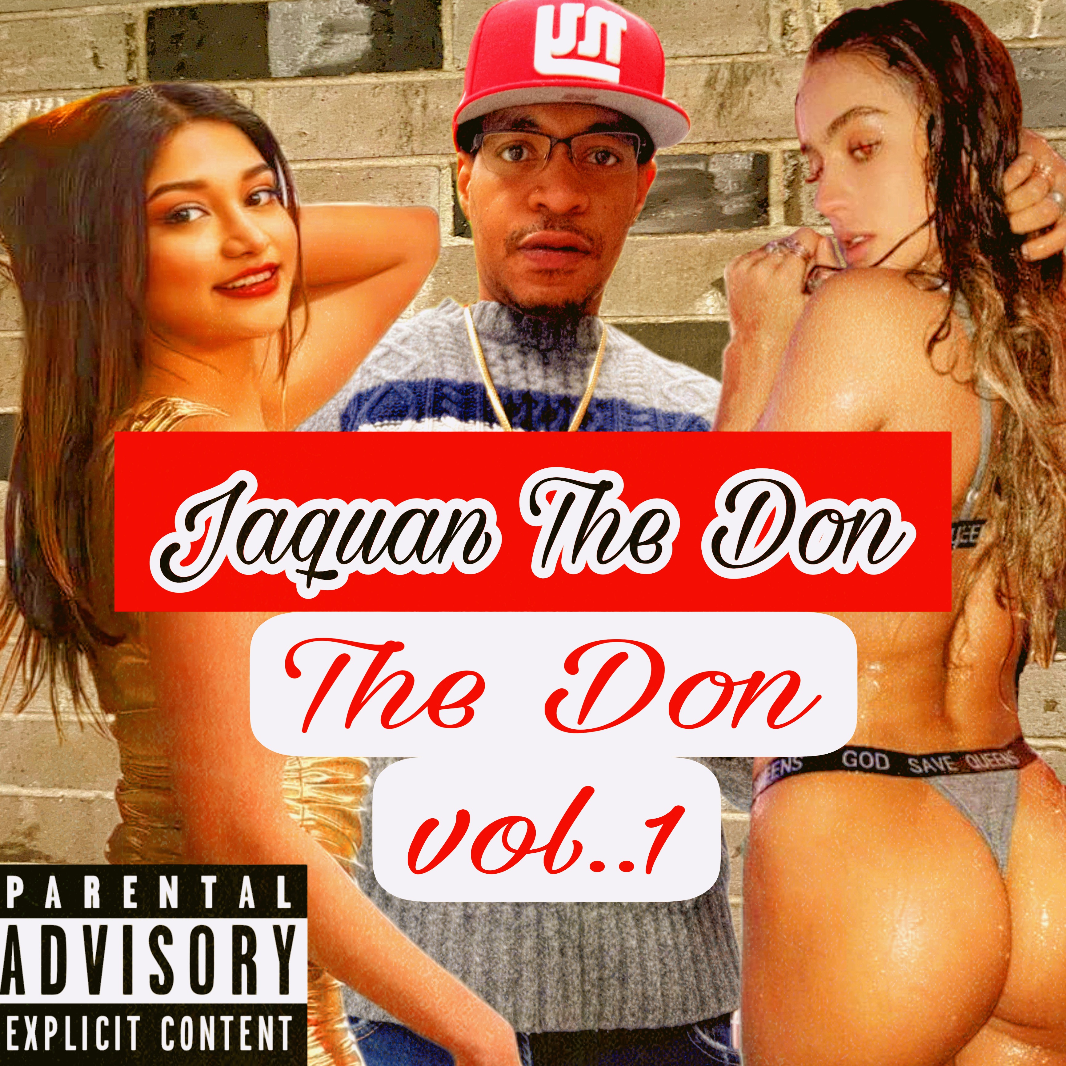 The Don Vol..1 artwork