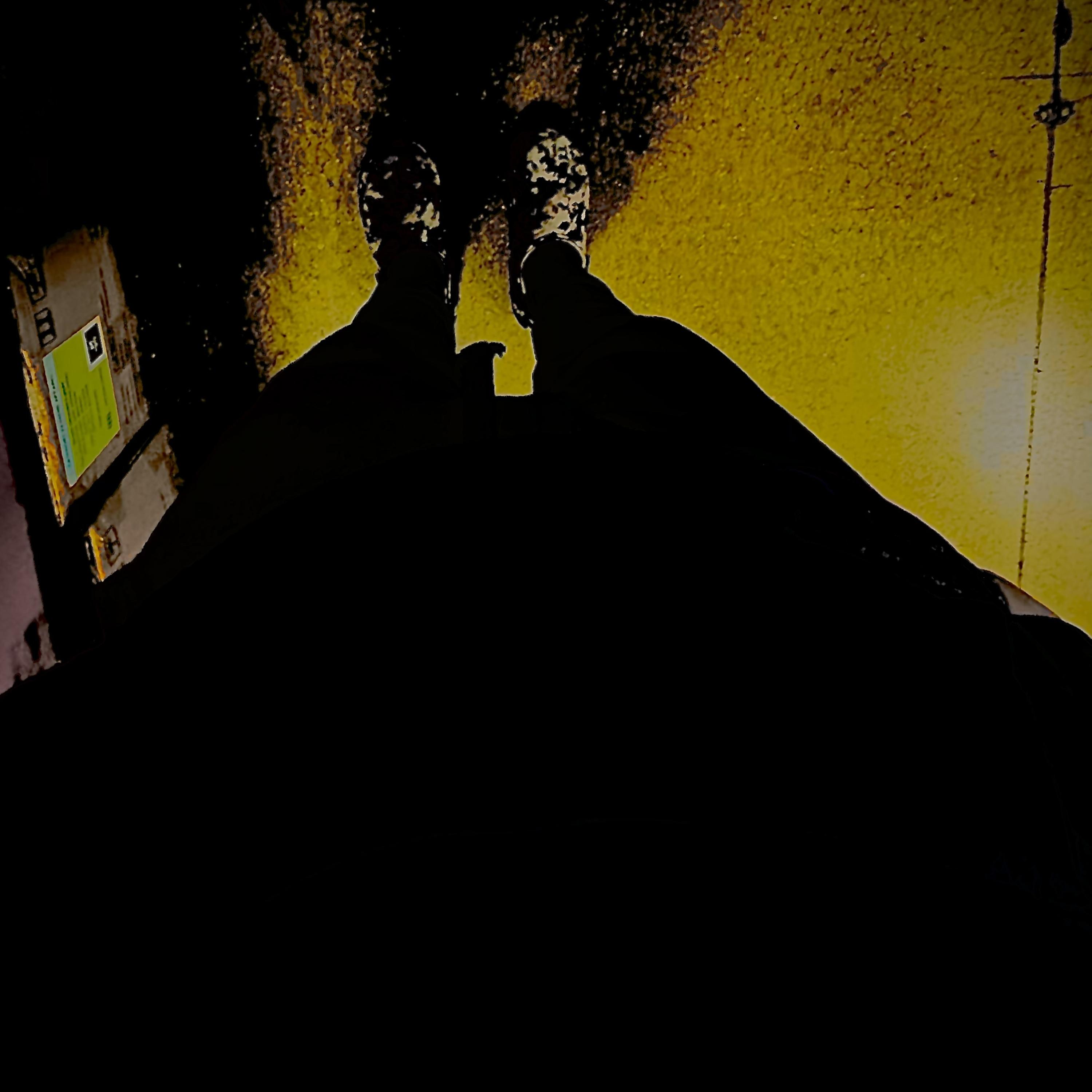 should’ve been me… artwork