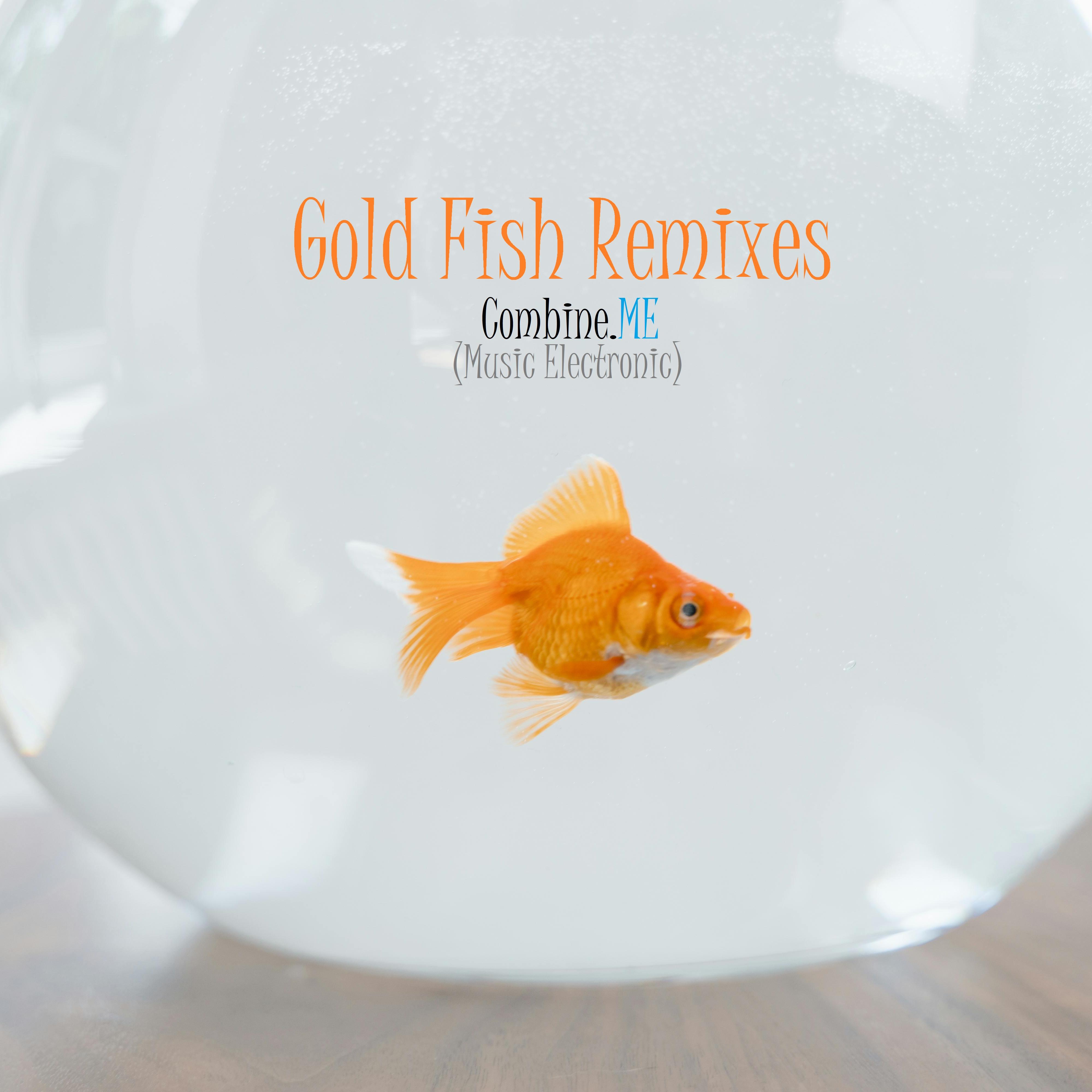 Gold Fish (Remixes) artwork