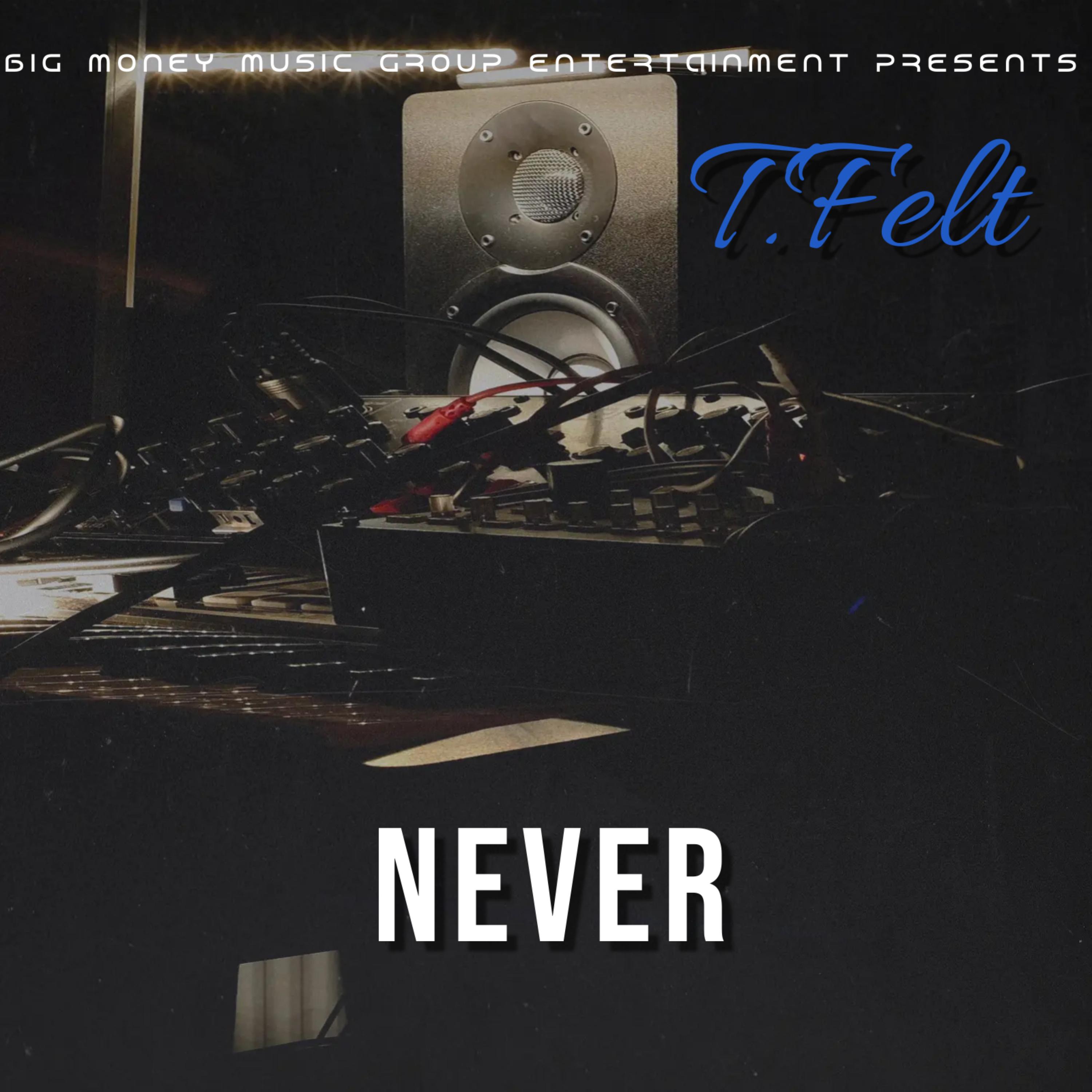 Never Do It Again by T.Felt cover art