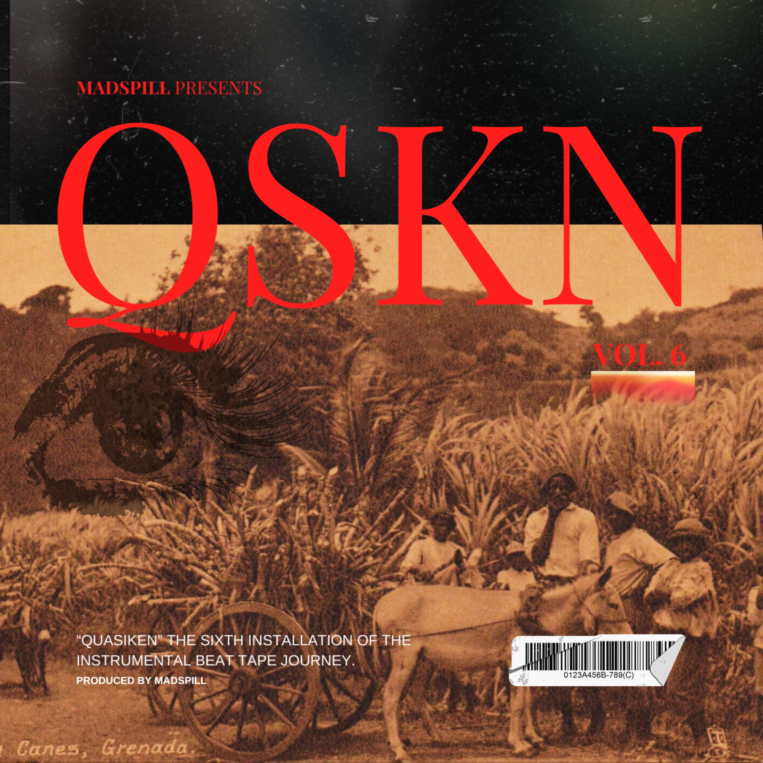 QUASIKEN VOL. 6 artwork